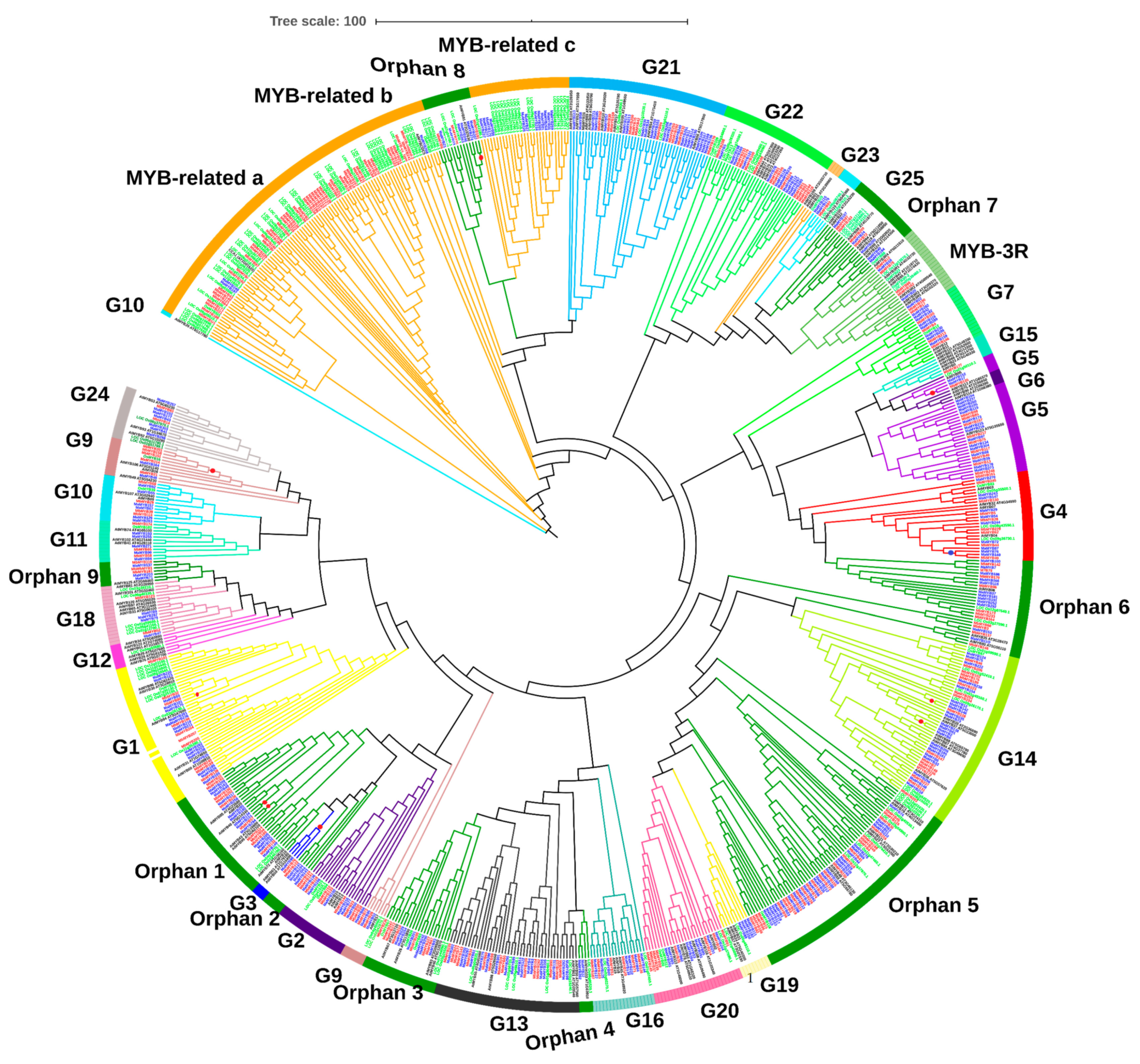 Plants 09 00413 g004