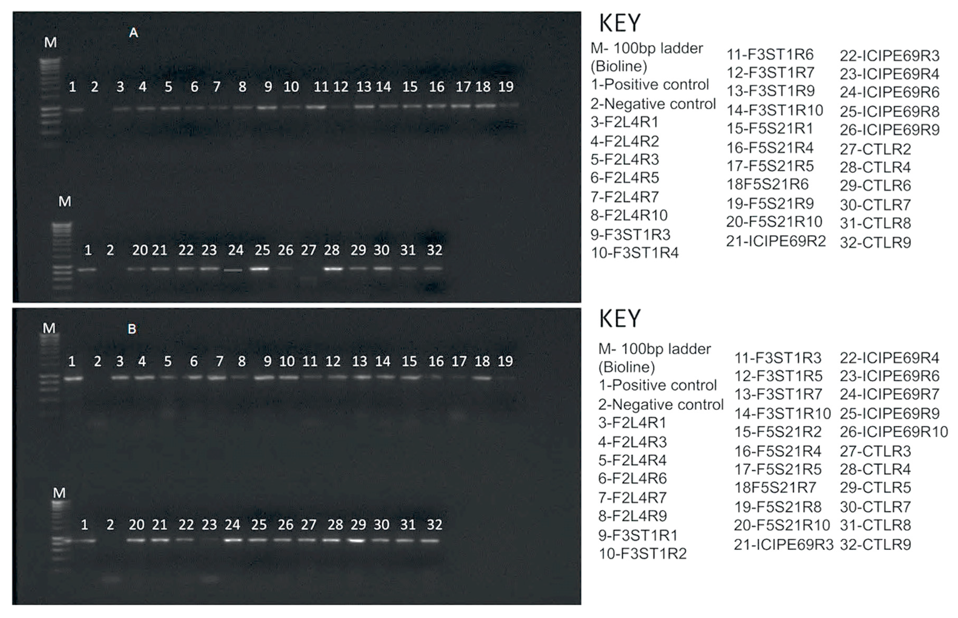 Plants 09 00416 g002