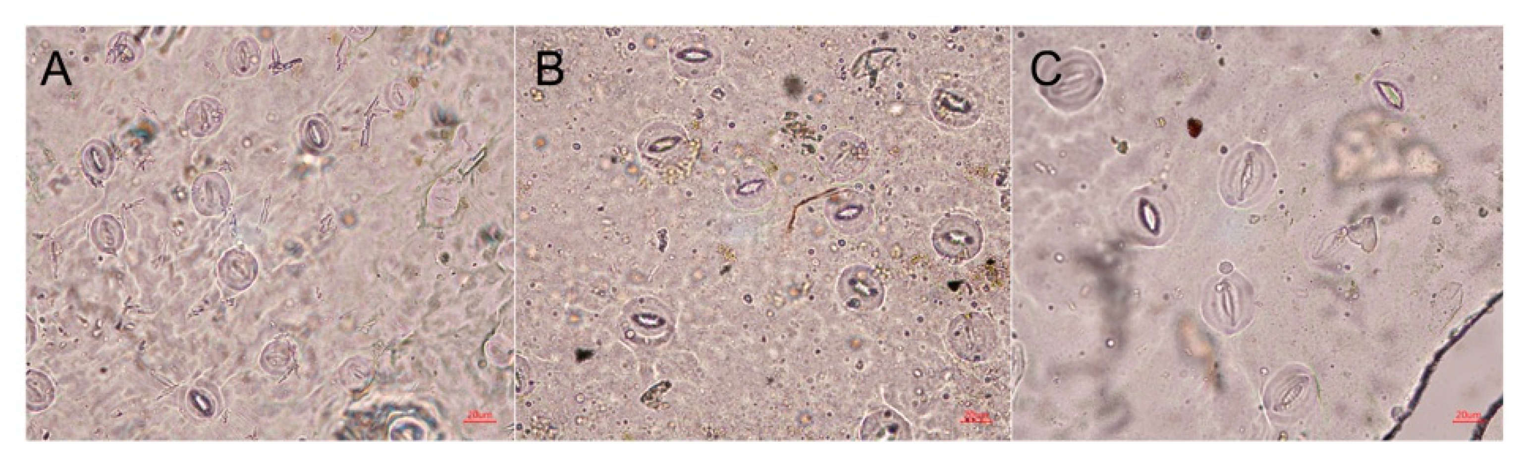 Plants 09 00424 g006