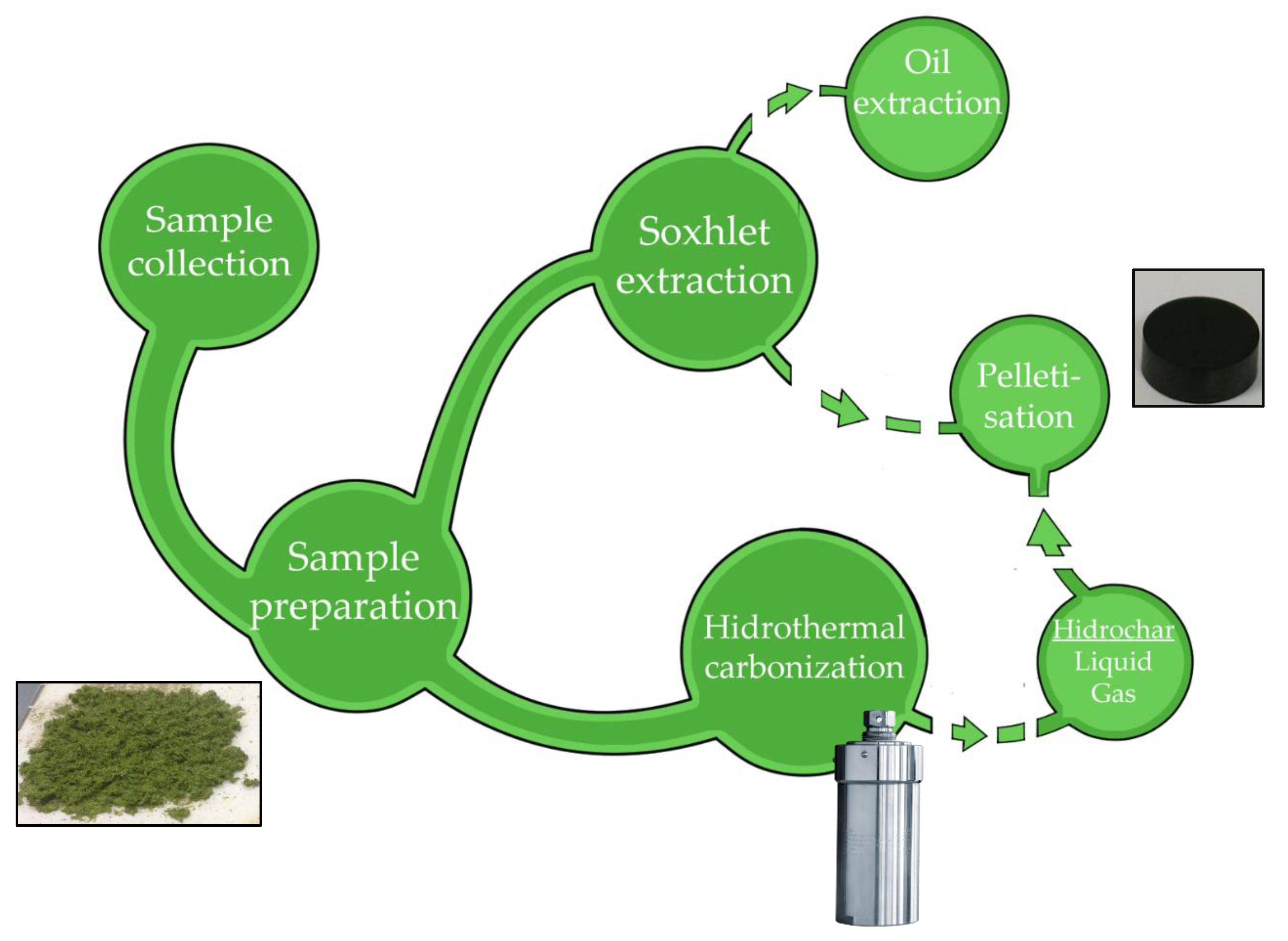 Plants 09 00425 g001 Plants 09 00425 g001