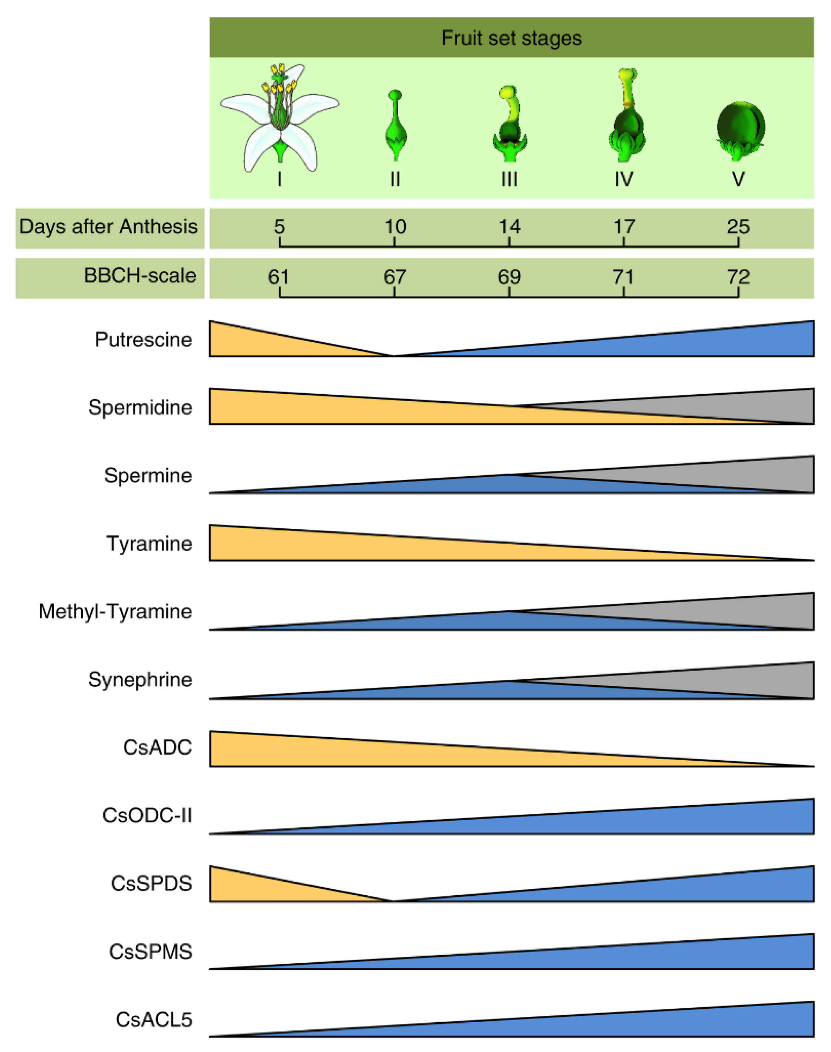 Plants 09 00426 g006