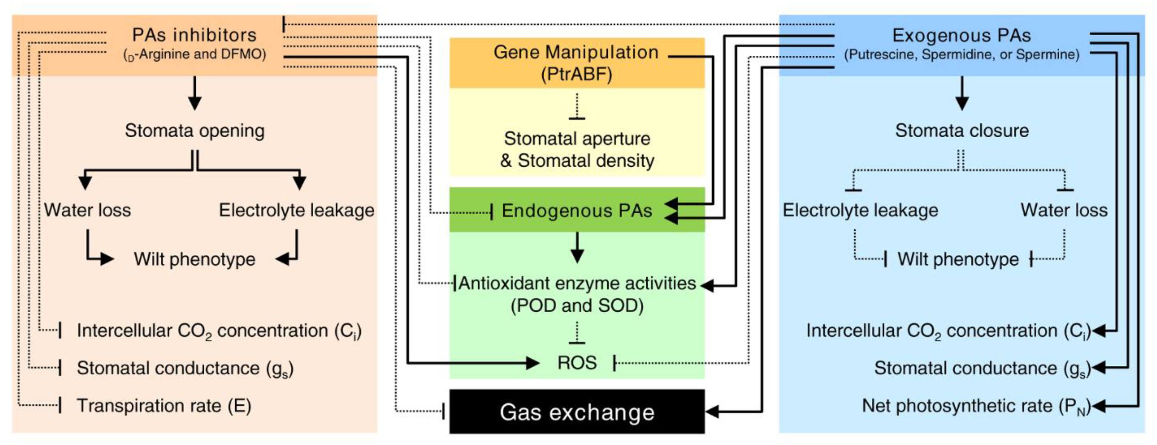 Plants 09 00426 g007