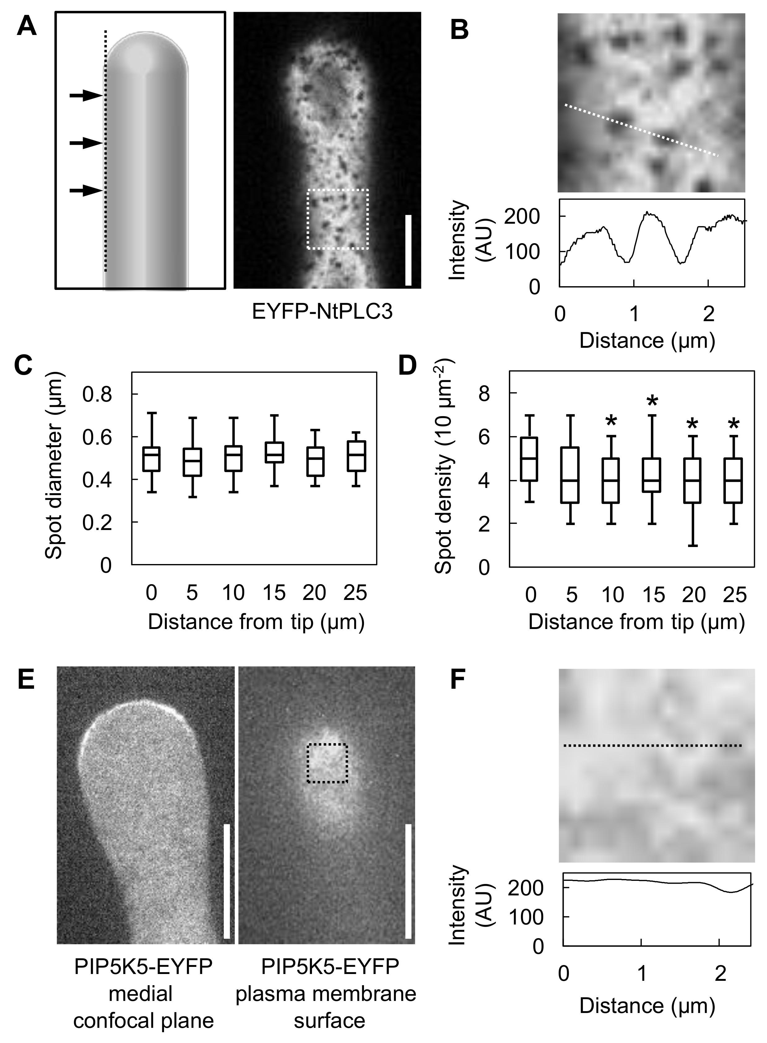 Plants 09 00452 g005