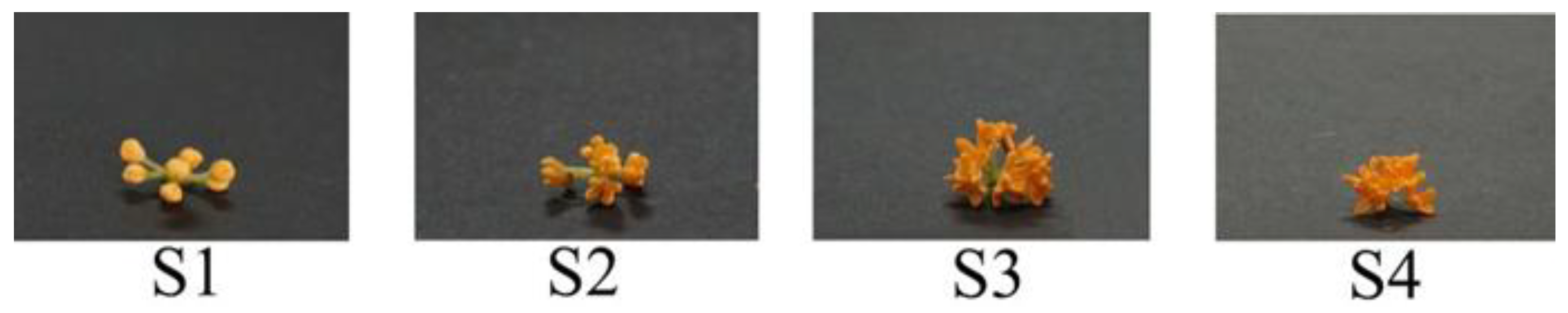 Plants 09 00454 g003