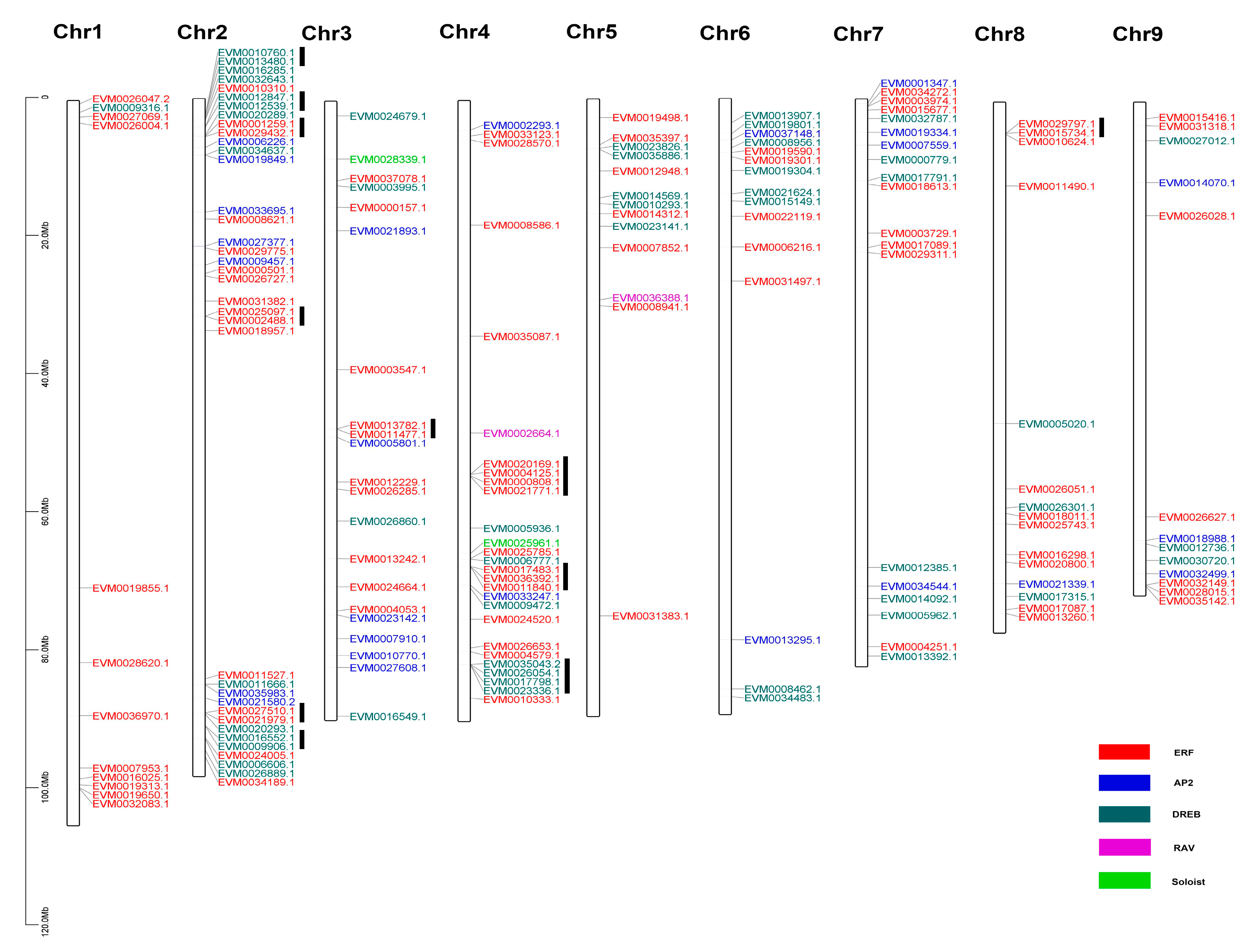 Plants 09 00455 g005