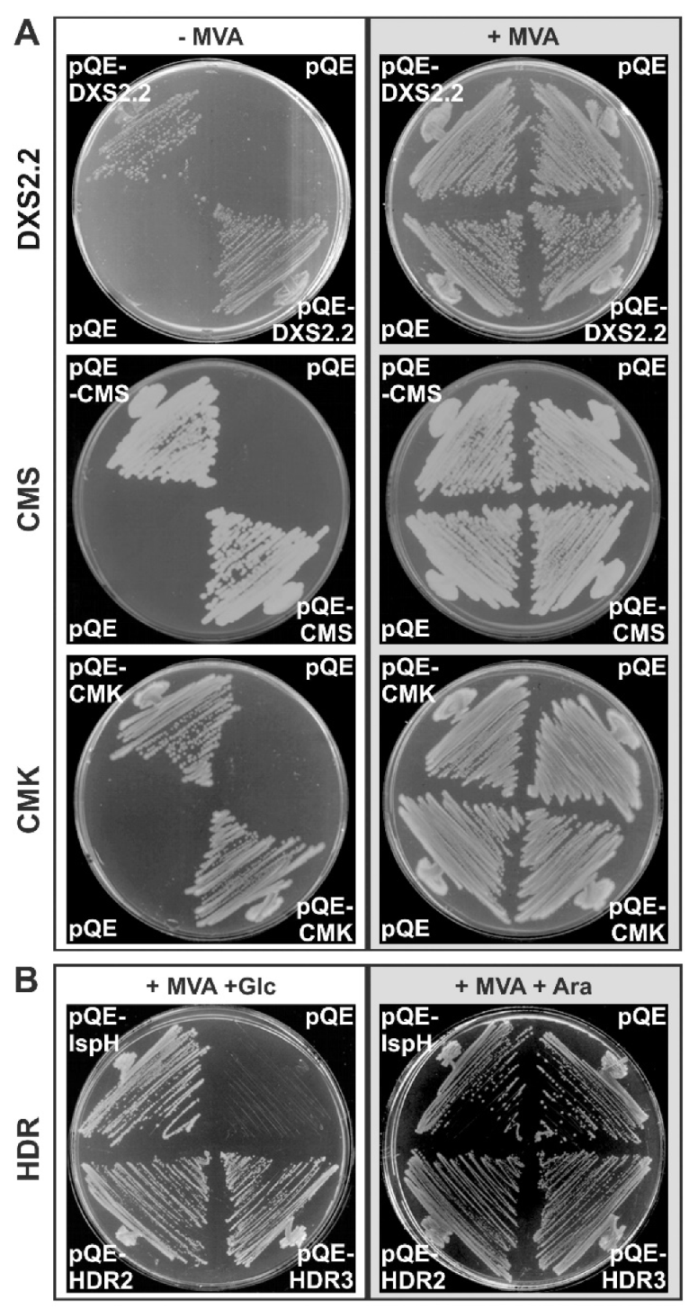 Plants 09 00462 g002