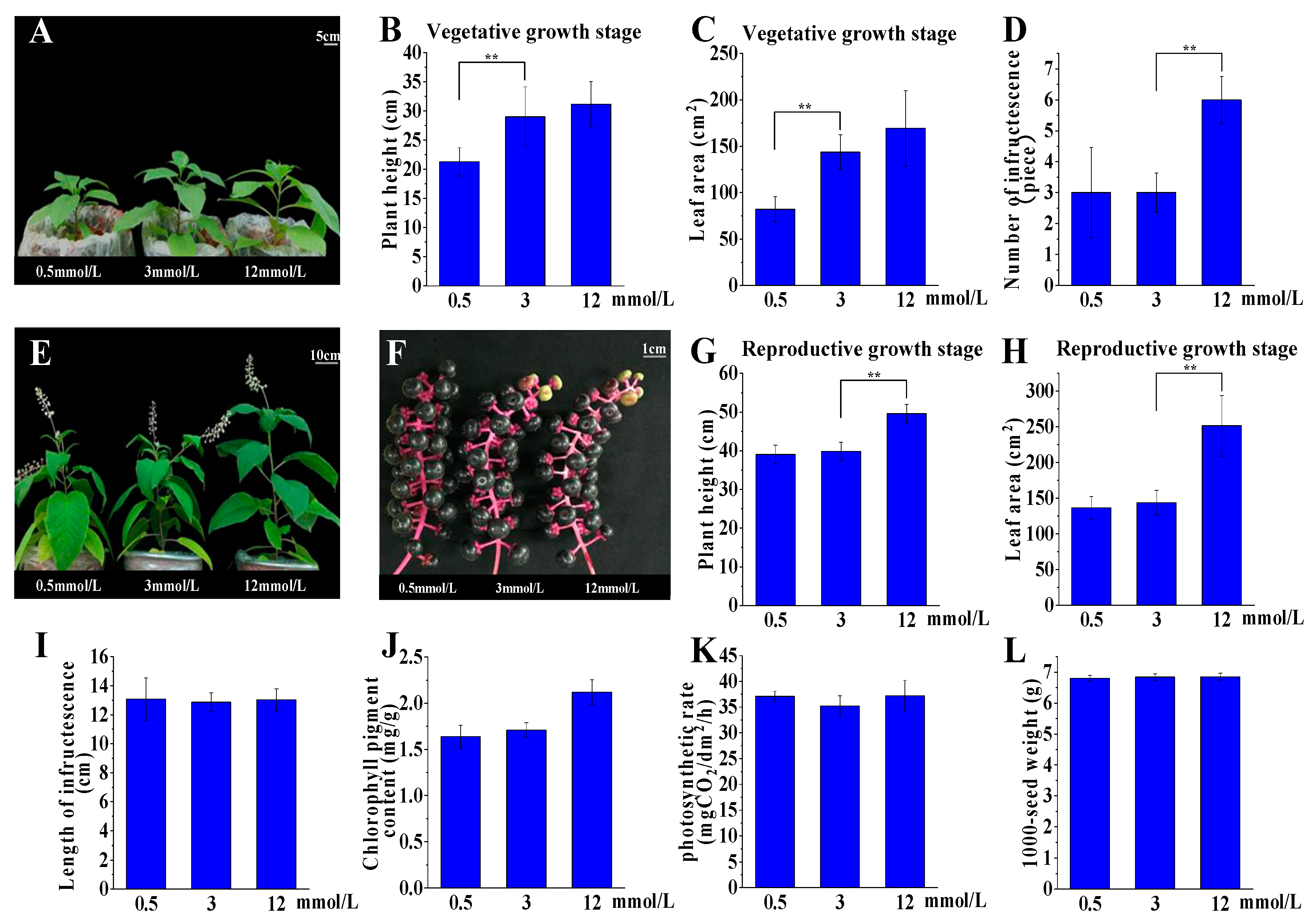 Plants 09 00470 g002