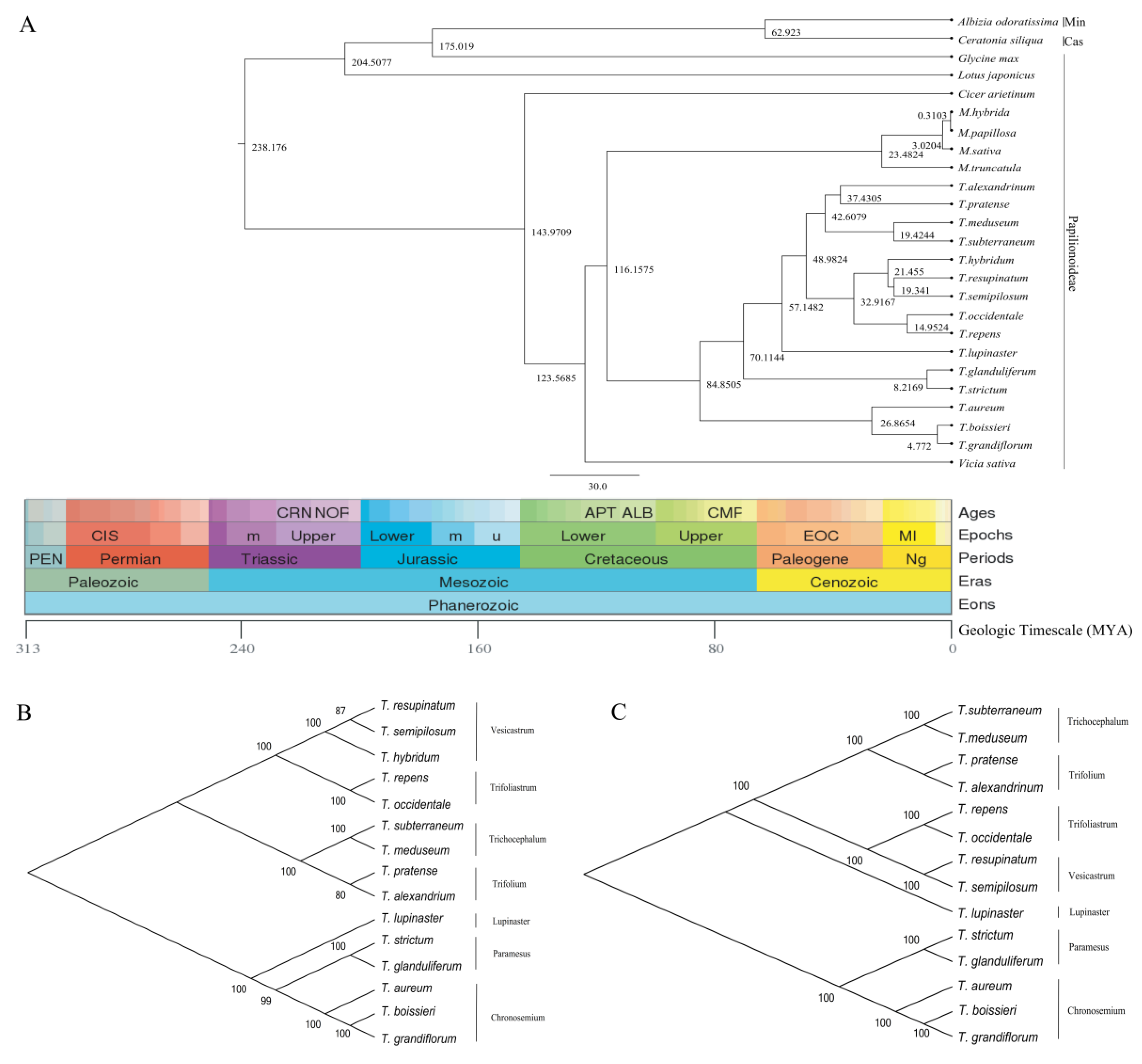 Plants 09 00478 g007