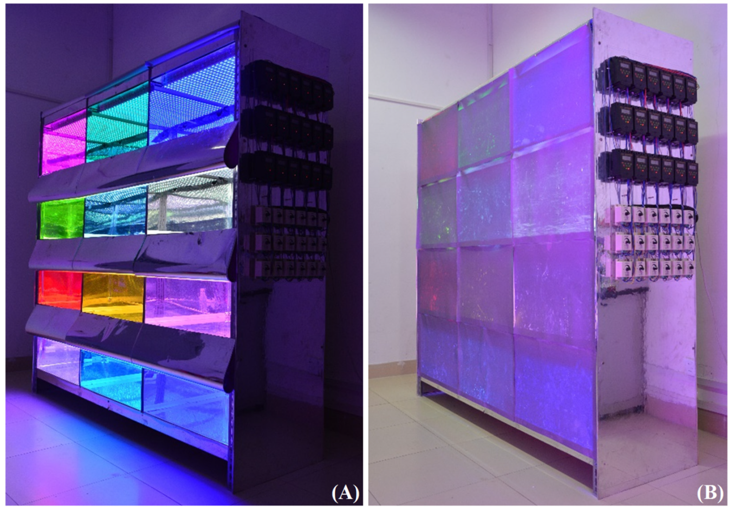 Plants 09 00490 g001