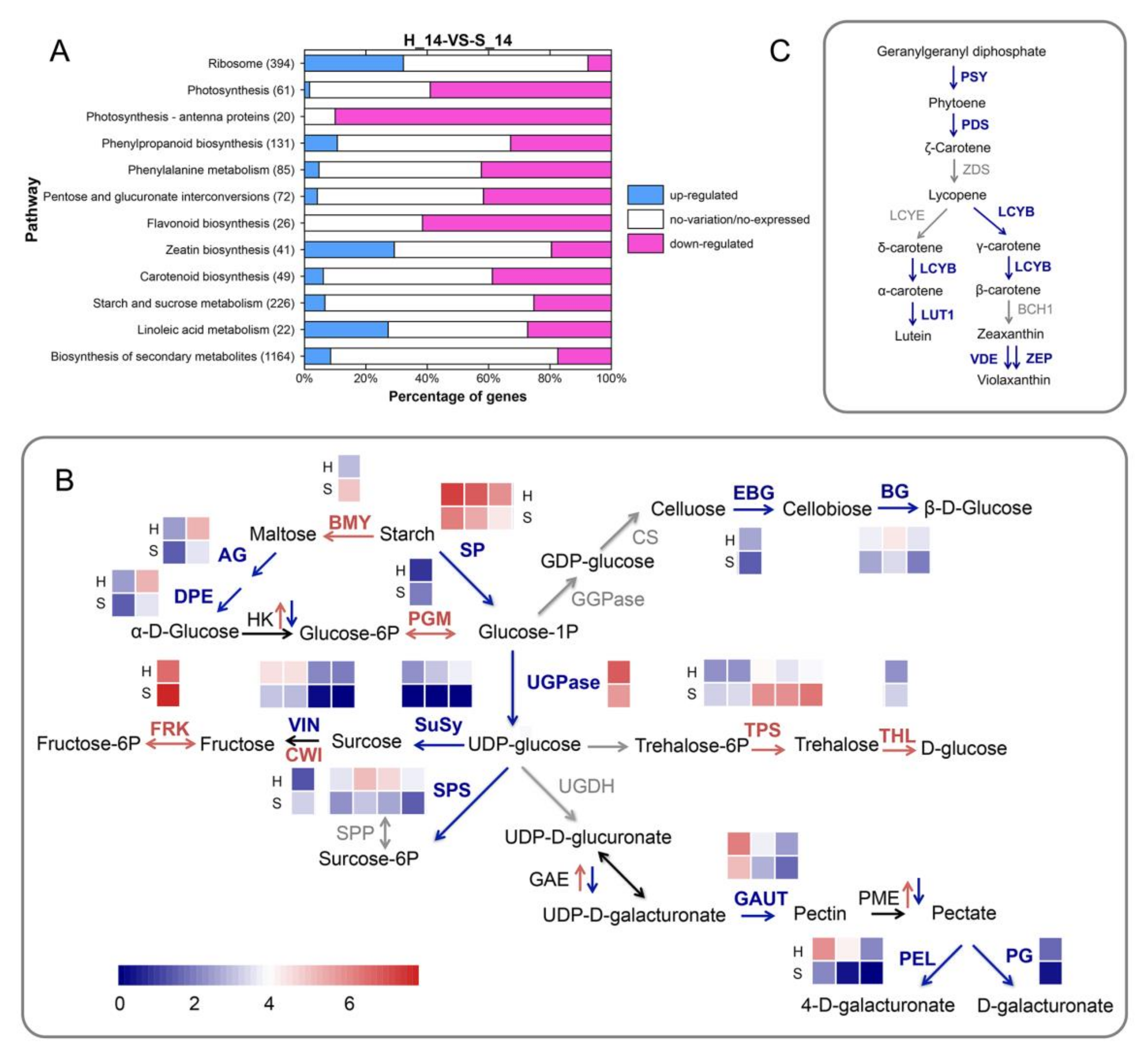 Plants 09 00492 g006