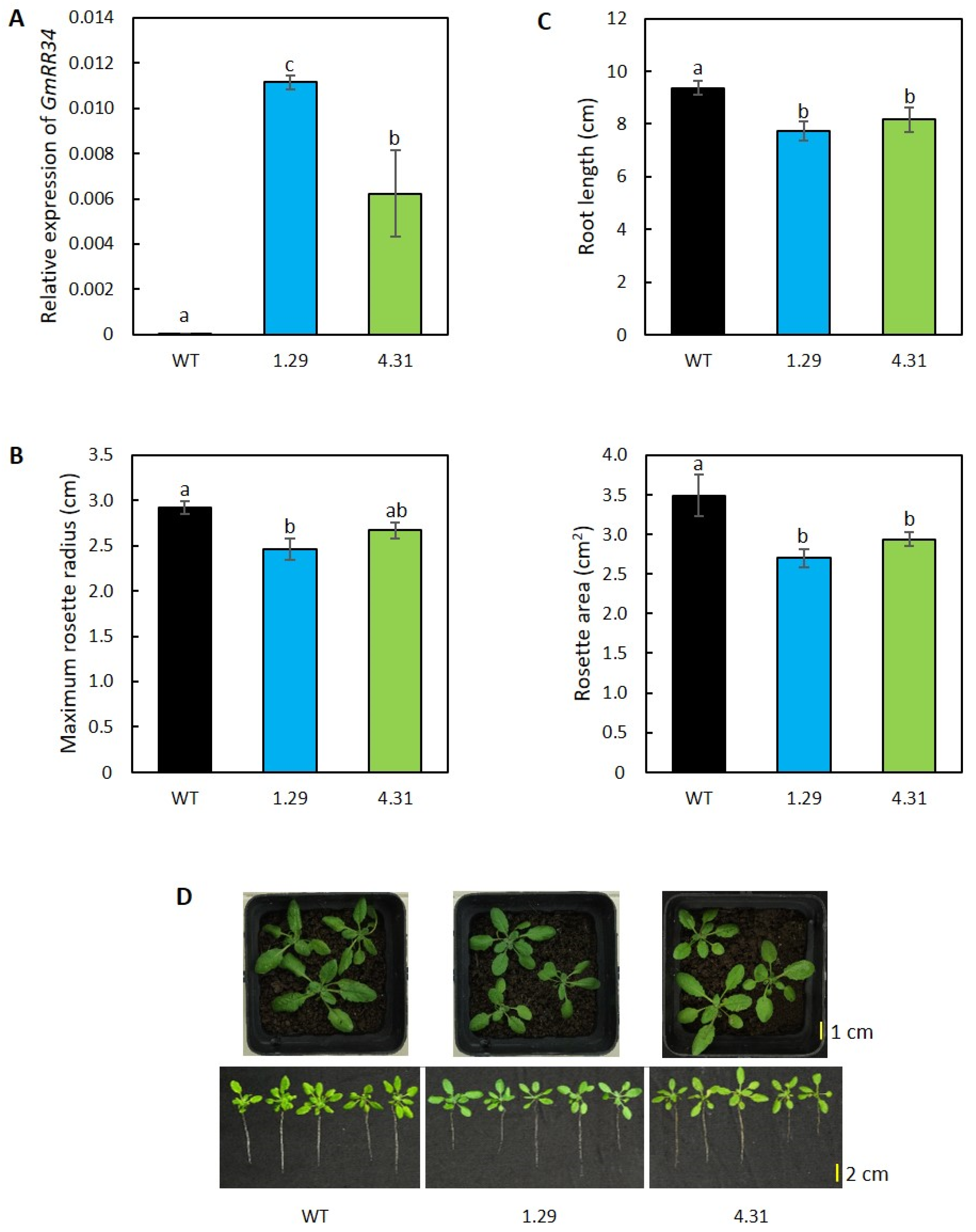 Plants 09 00494 g001 Plants 09 00494 g001