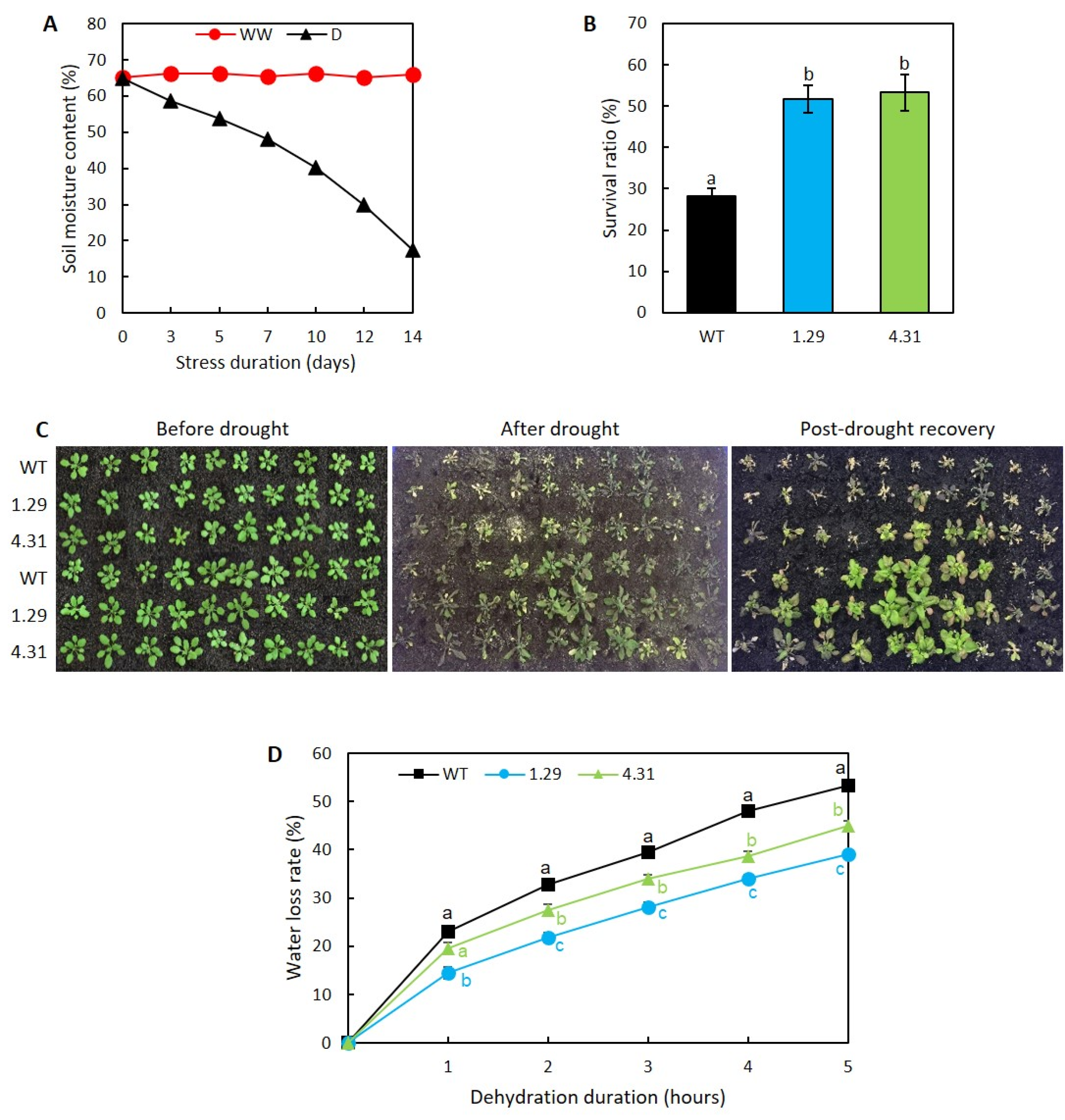 Plants 09 00494 g002 Plants 09 00494 g002