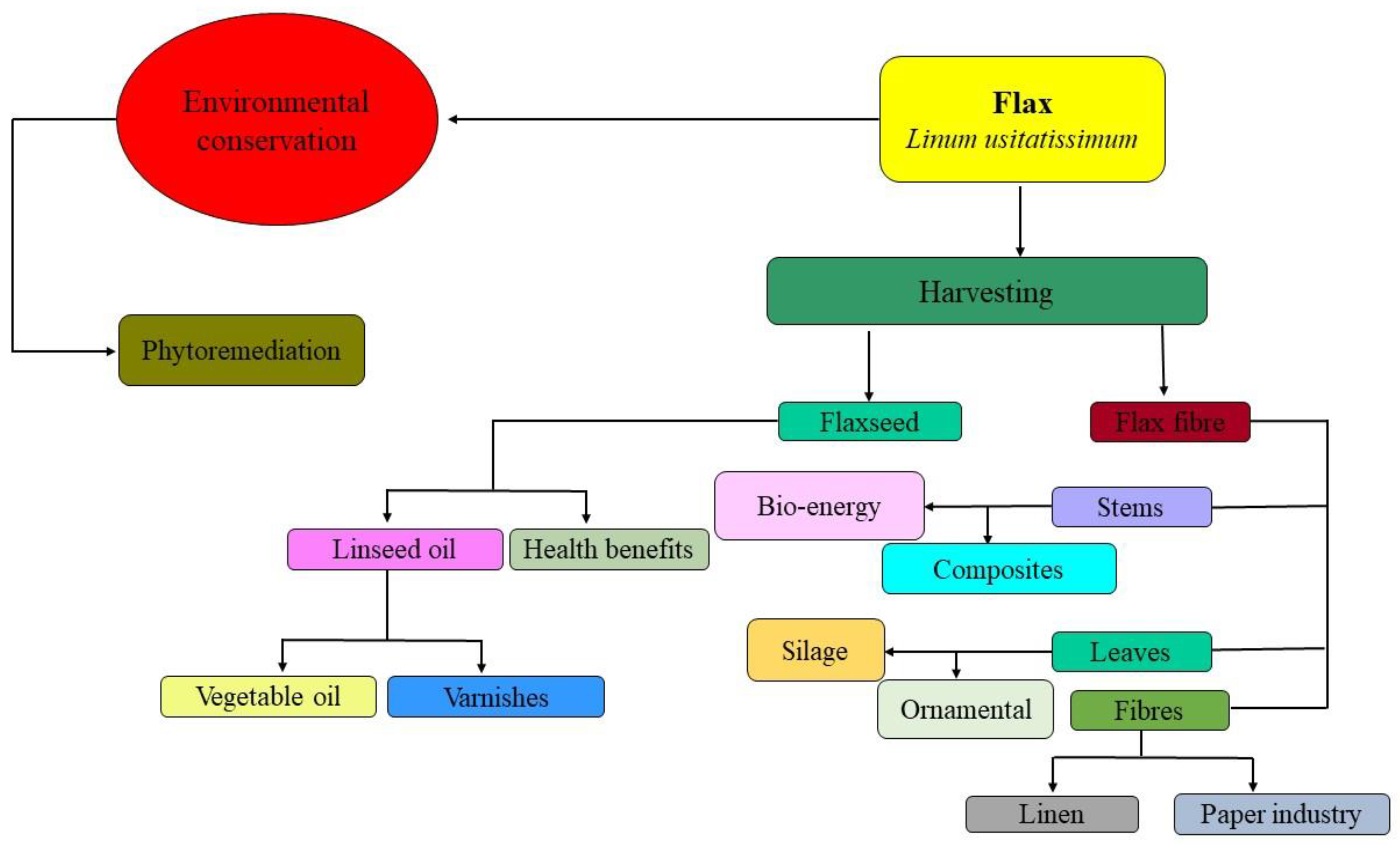 Plants 09 00496 g004