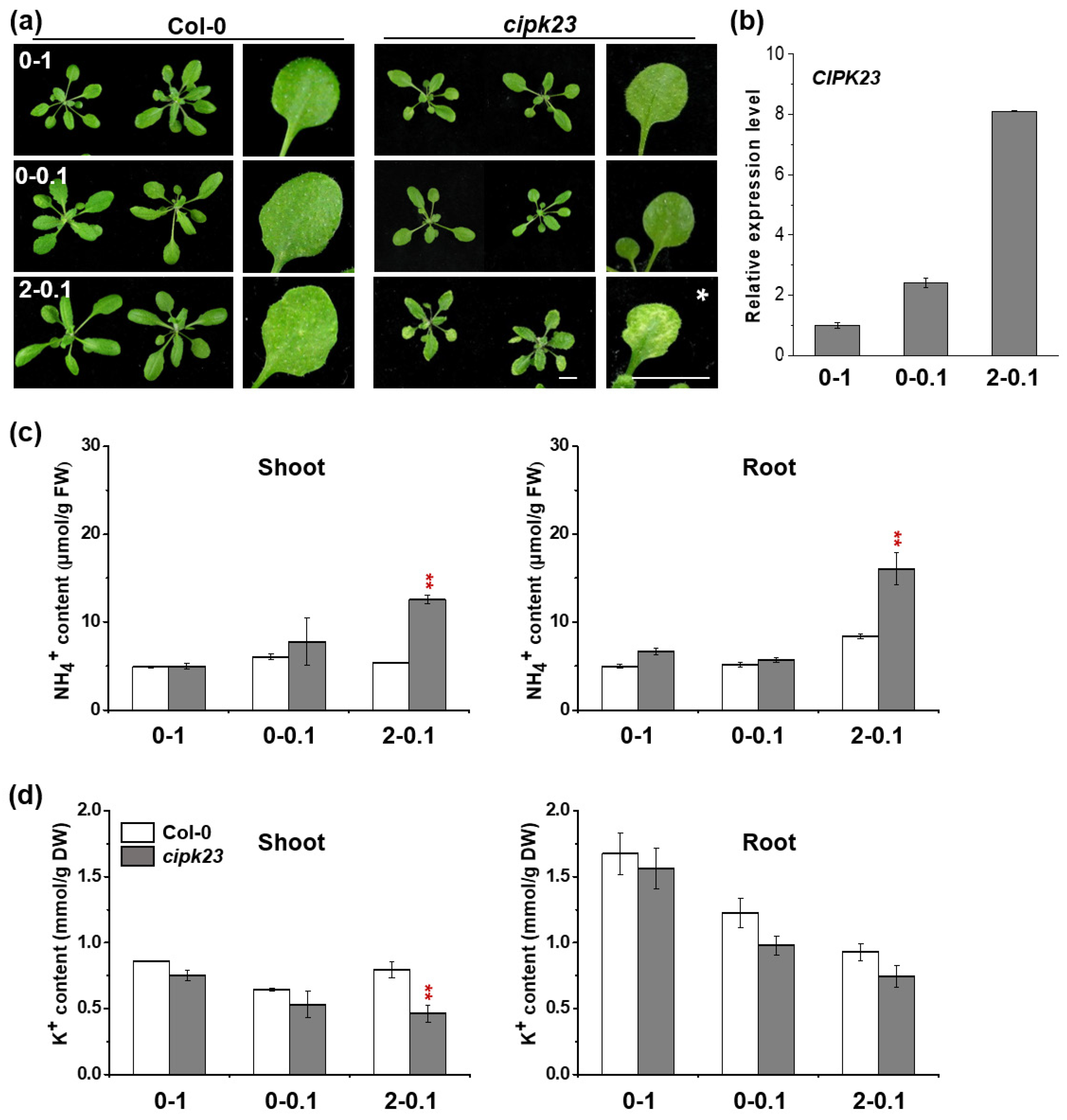 Plants 09 00501 g002