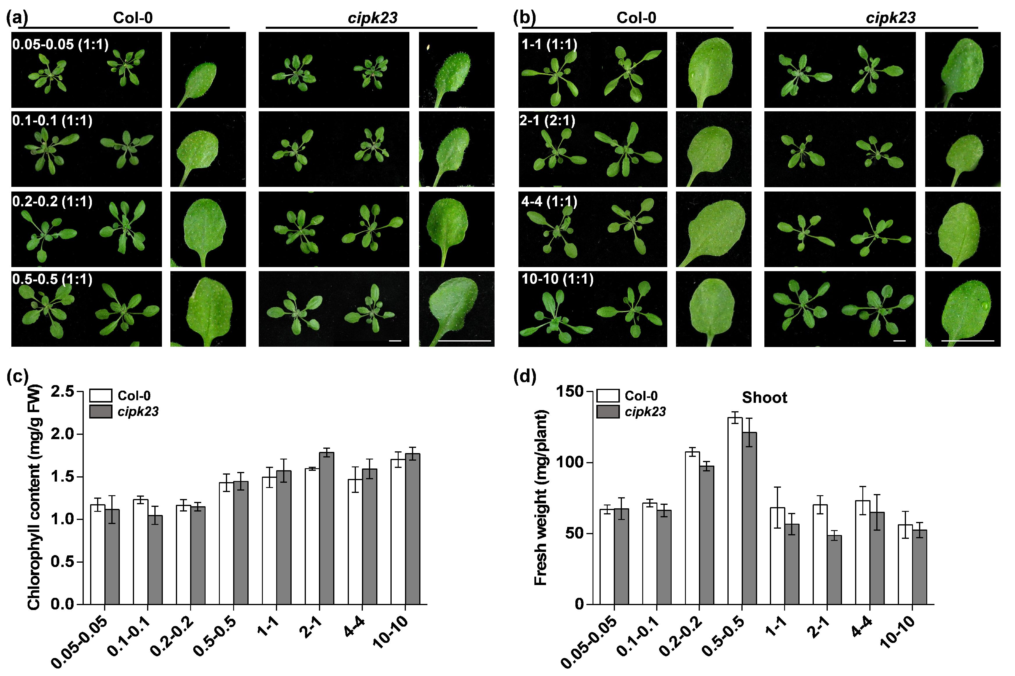 Plants 09 00501 g004