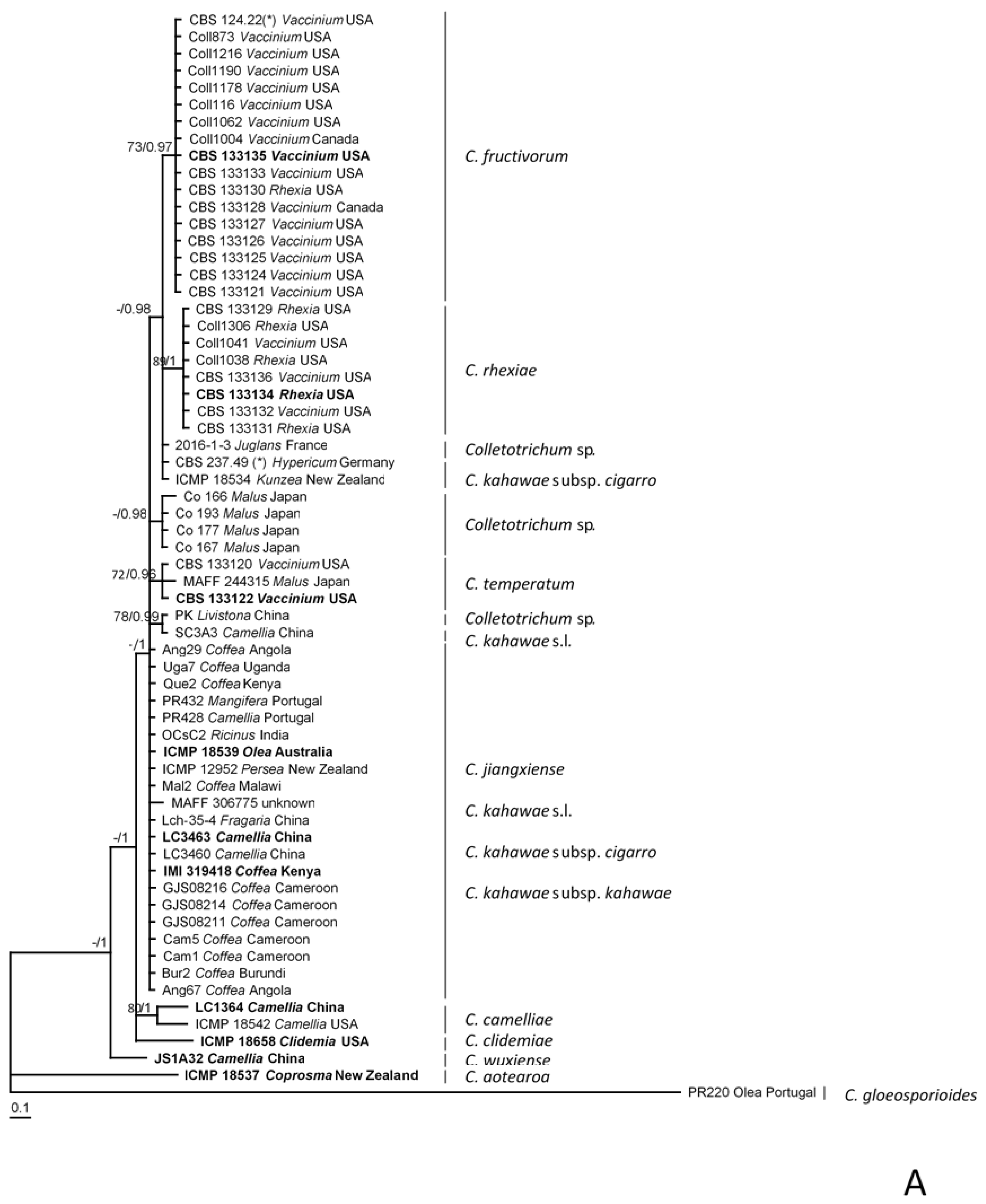 Plants 09 00502 g002a Plants 09 00502 g002a