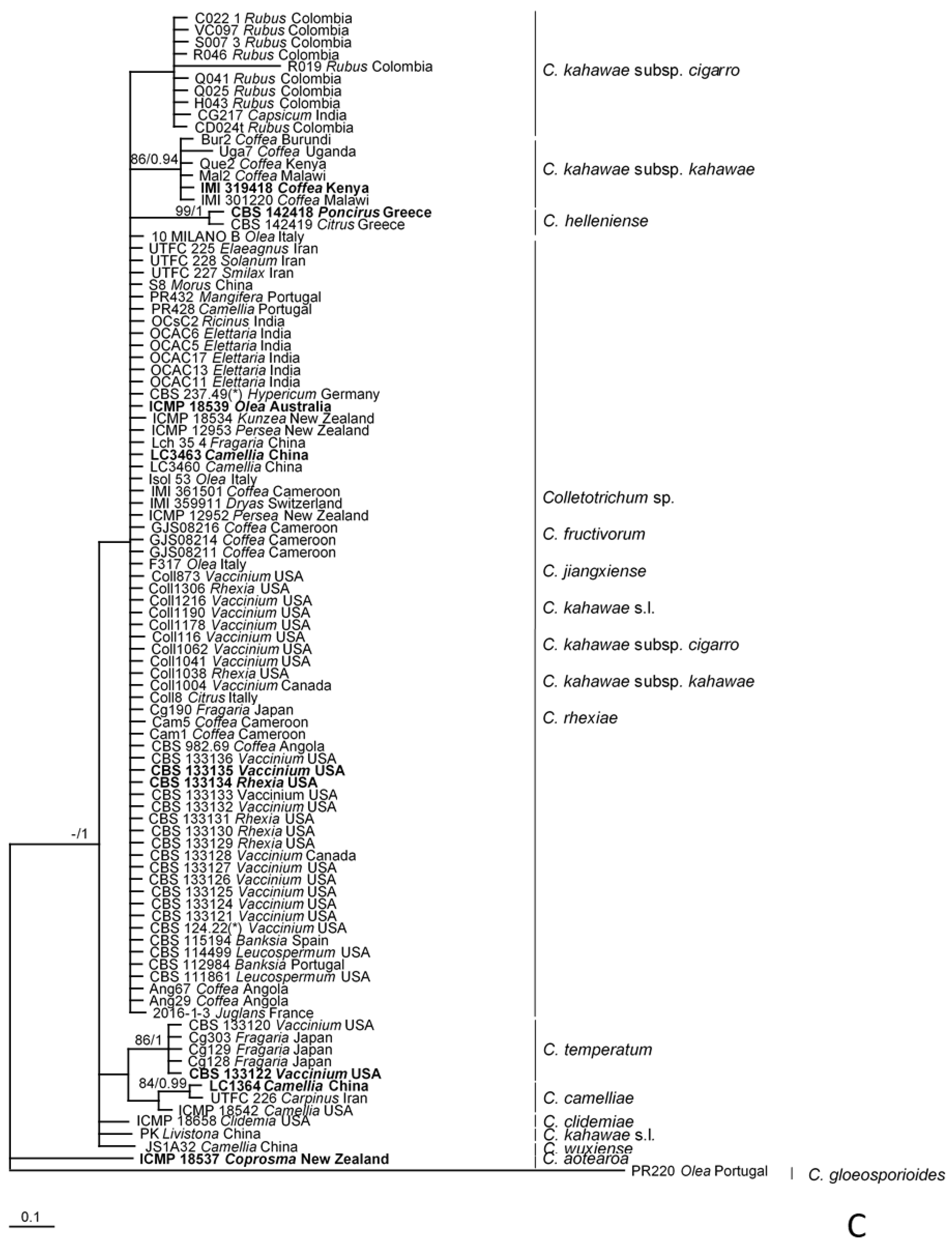 Plants 09 00502 g002c Plants 09 00502 g002c