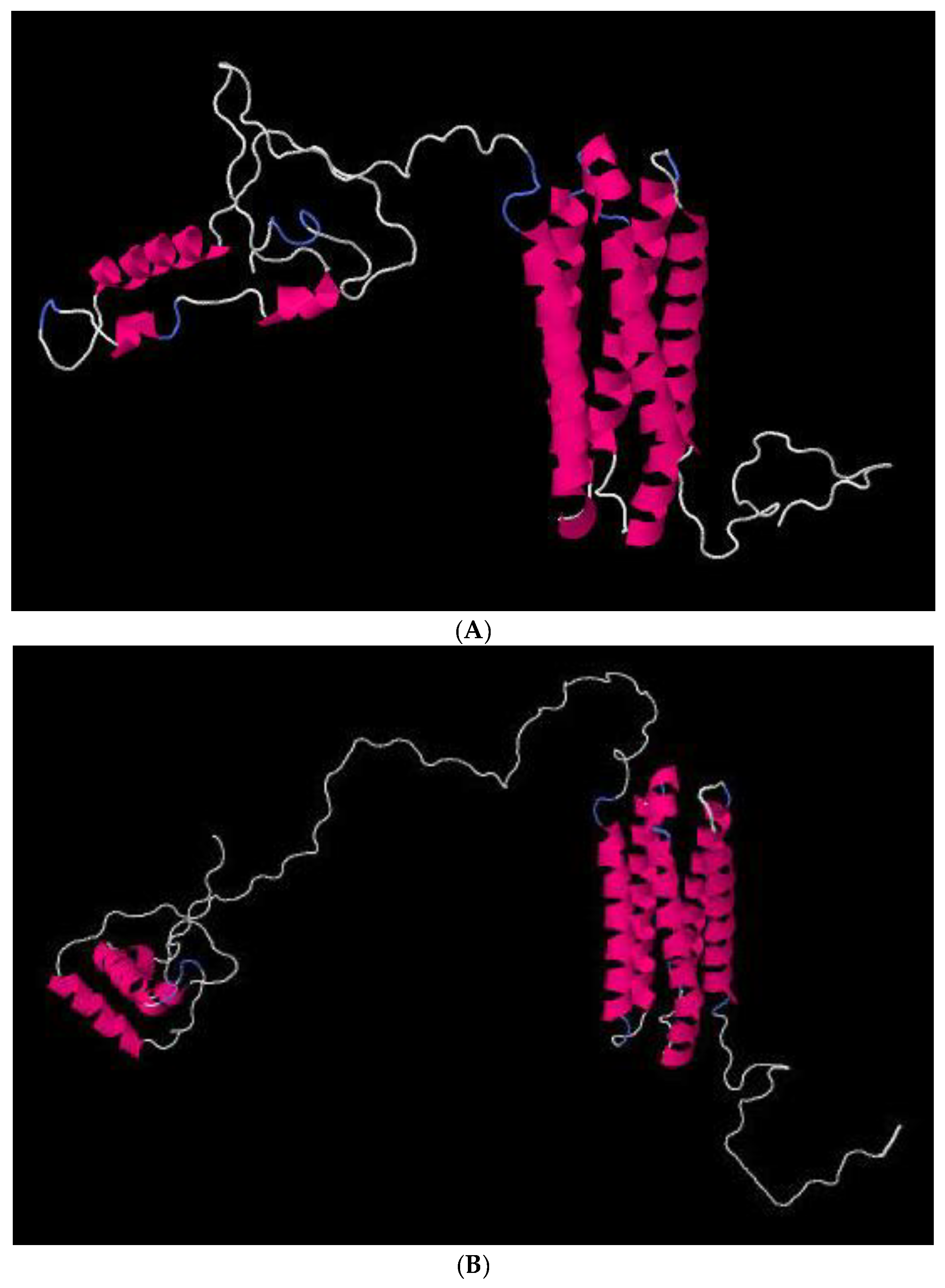 Plants 09 00502 g004 Plants 09 00502 g004