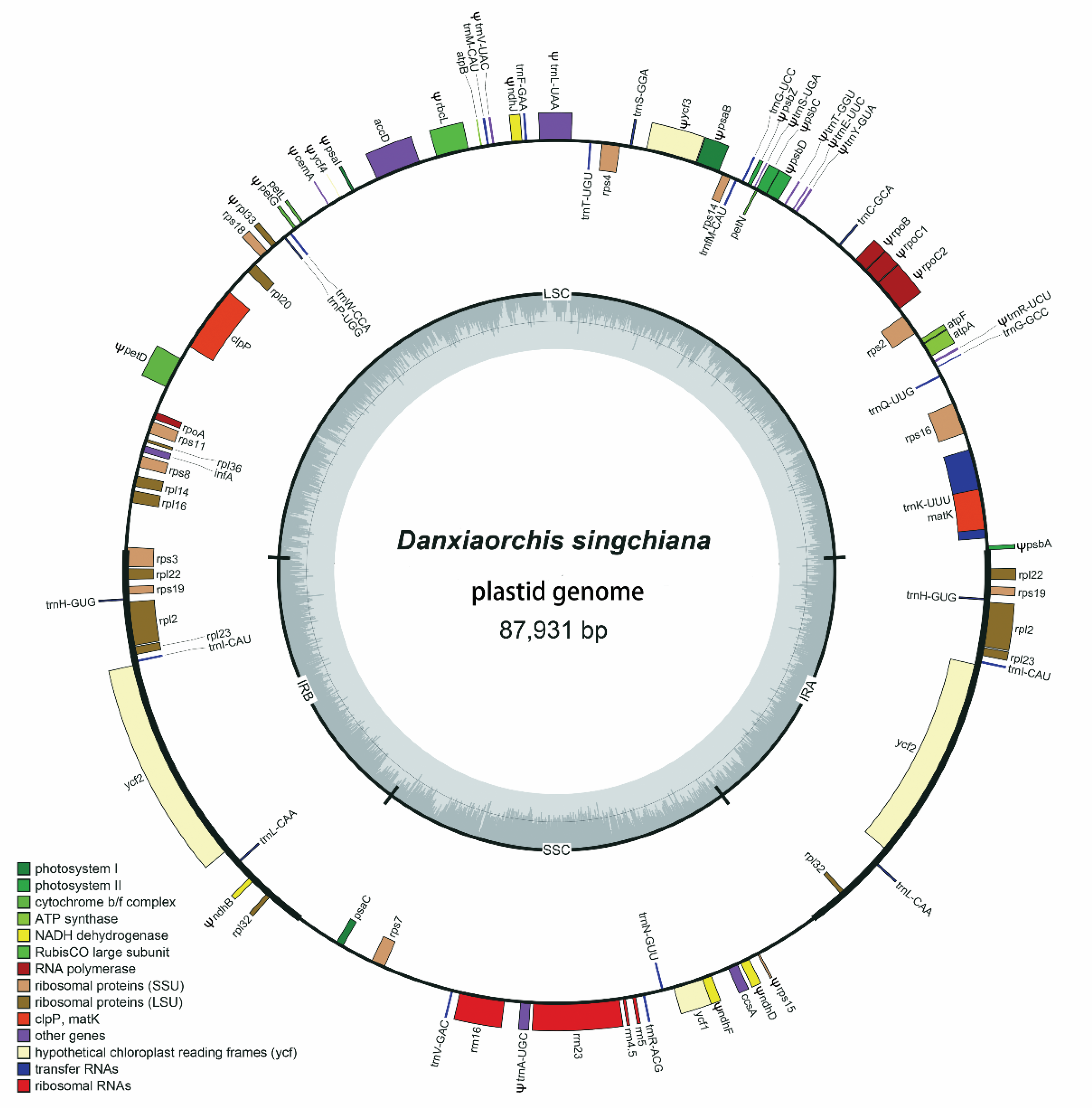 Plants 09 00521 g001
