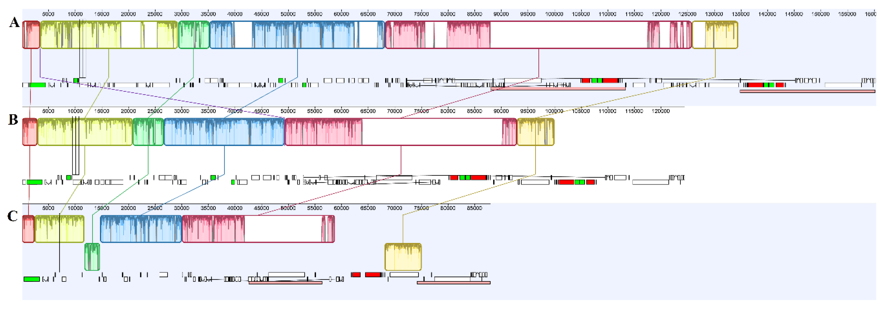 Plants 09 00521 g002