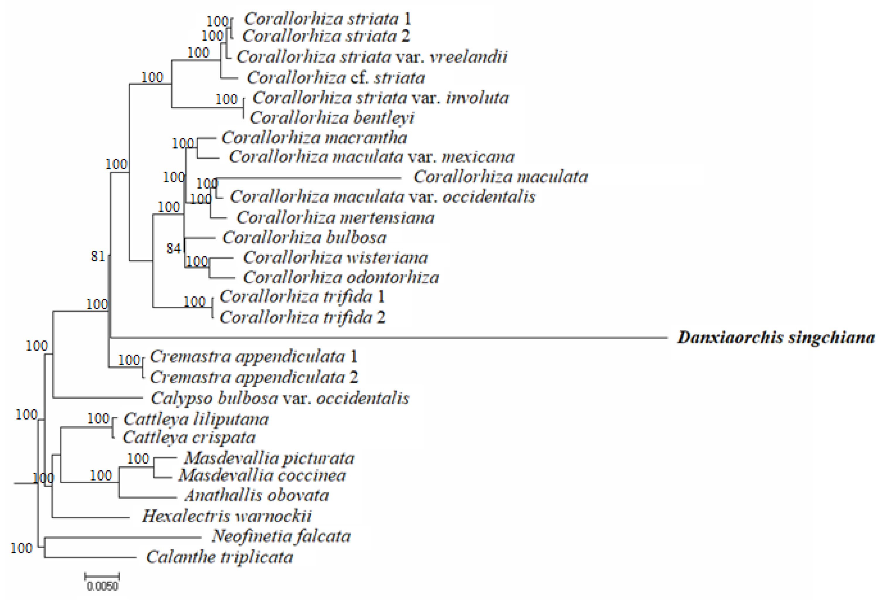 Plants 09 00521 g003