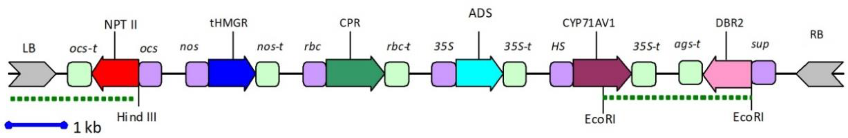 Plants 09 00537 g002
