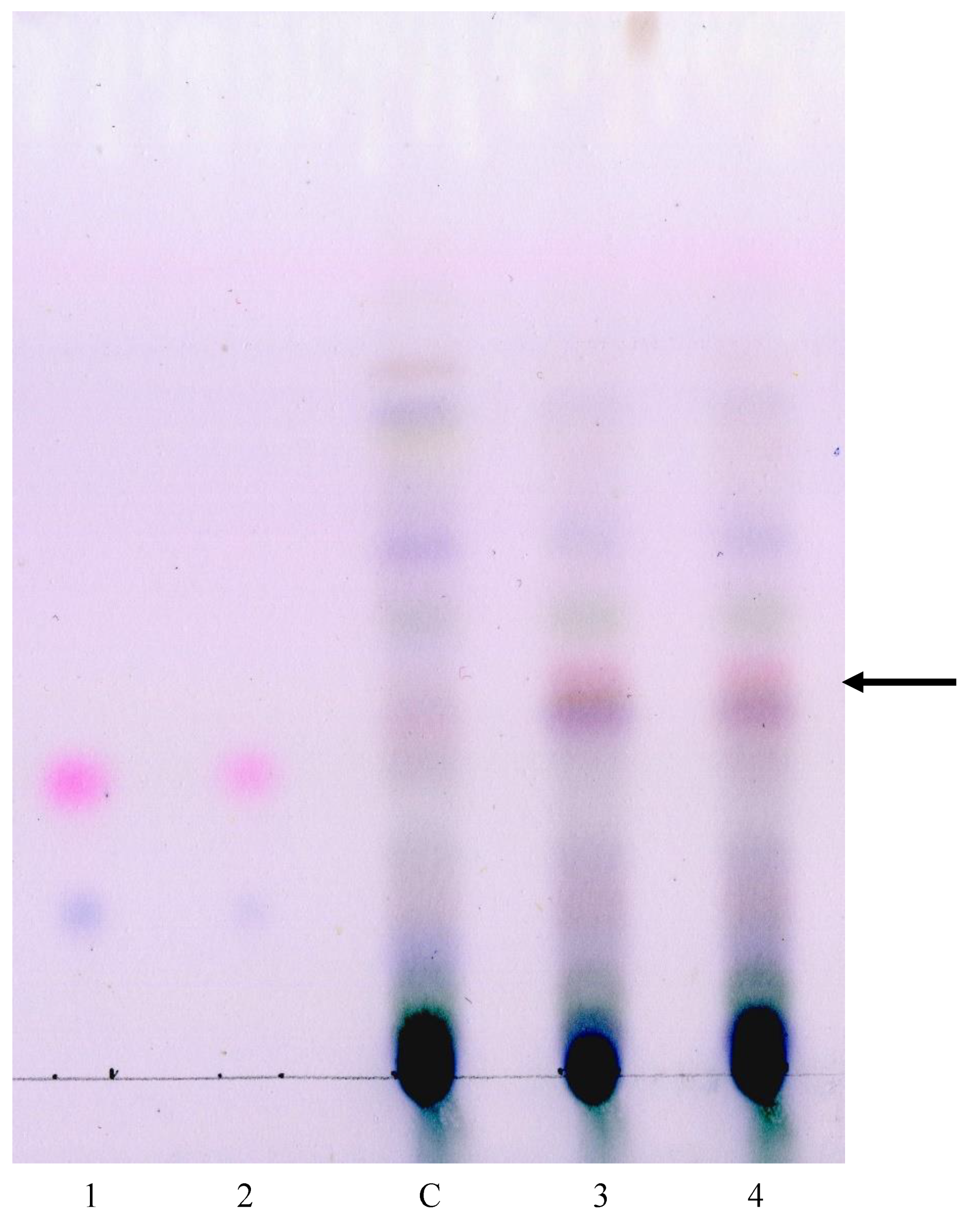 Plants 09 00537 g007