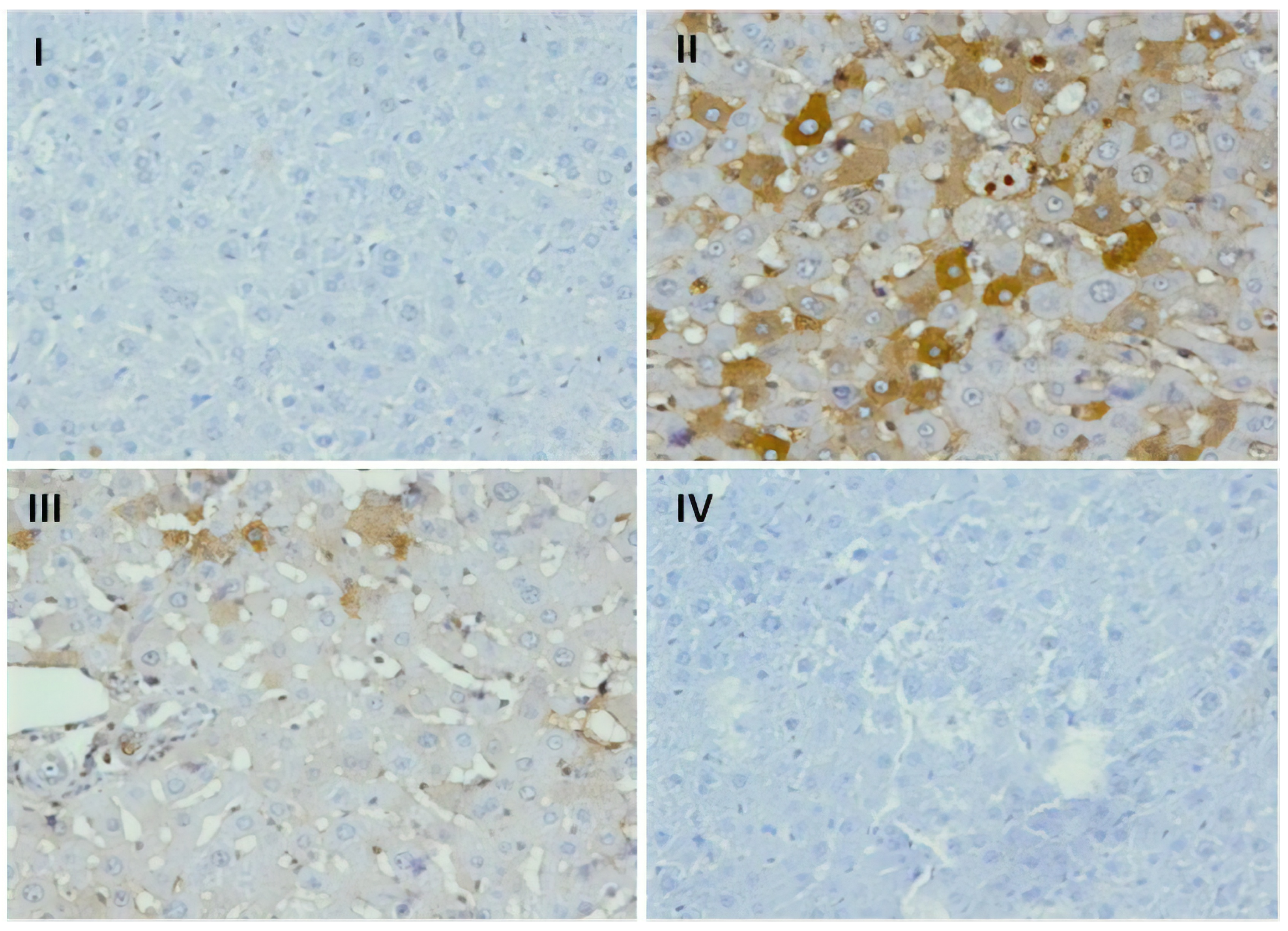 Plants 09 00550 g005