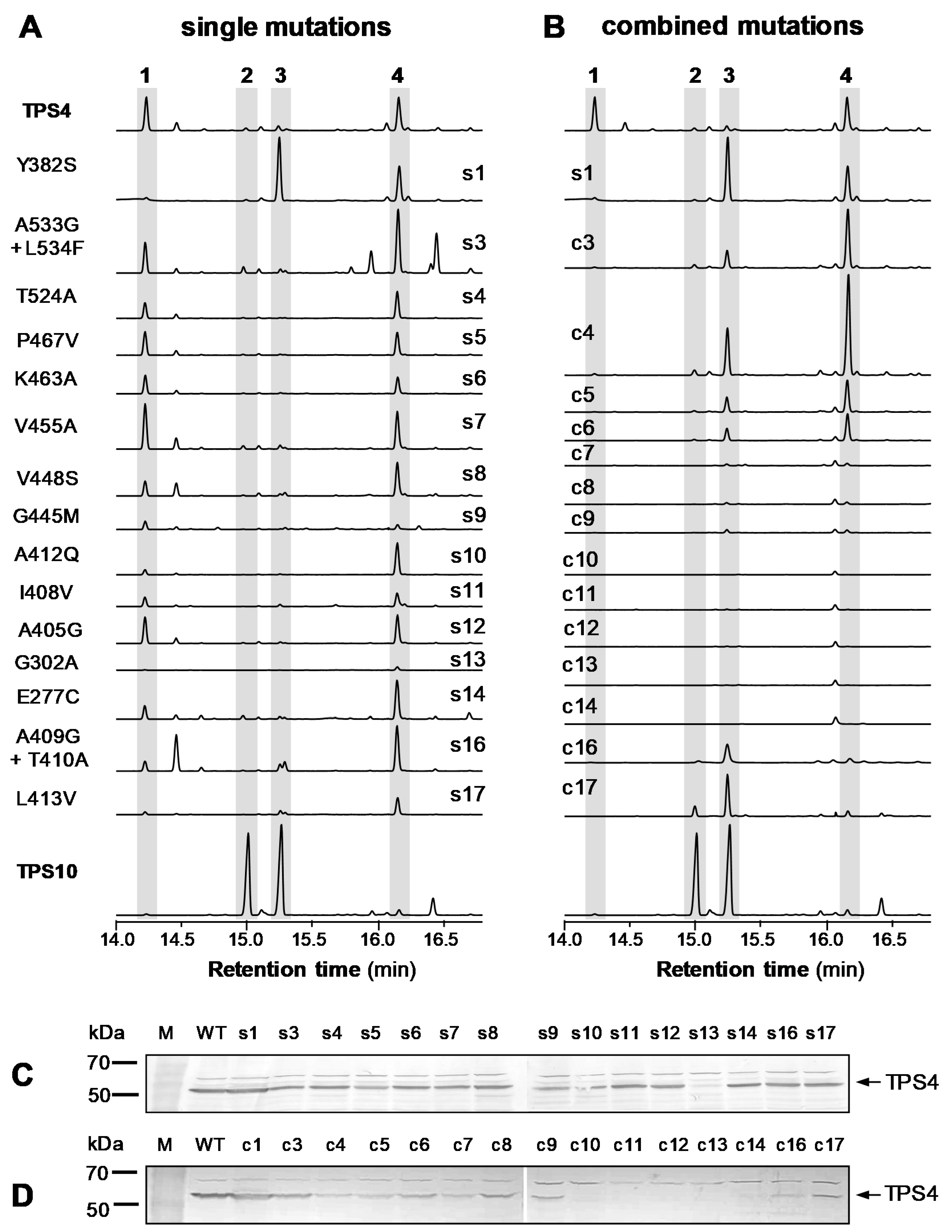 Plants 09 00552 g003