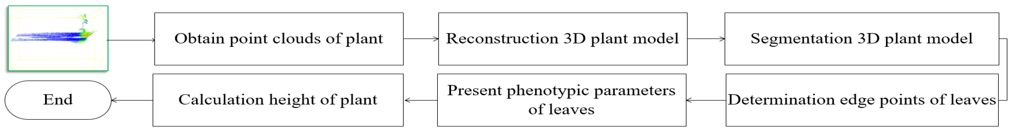 Plants 09 00571 g001