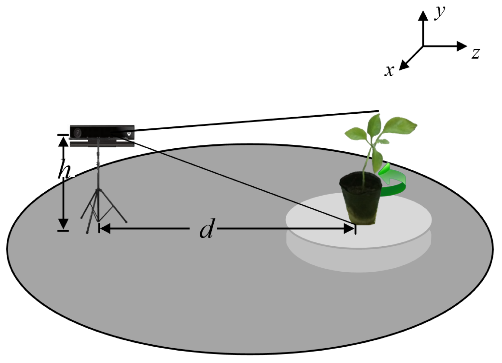 Plants 09 00571 g002
