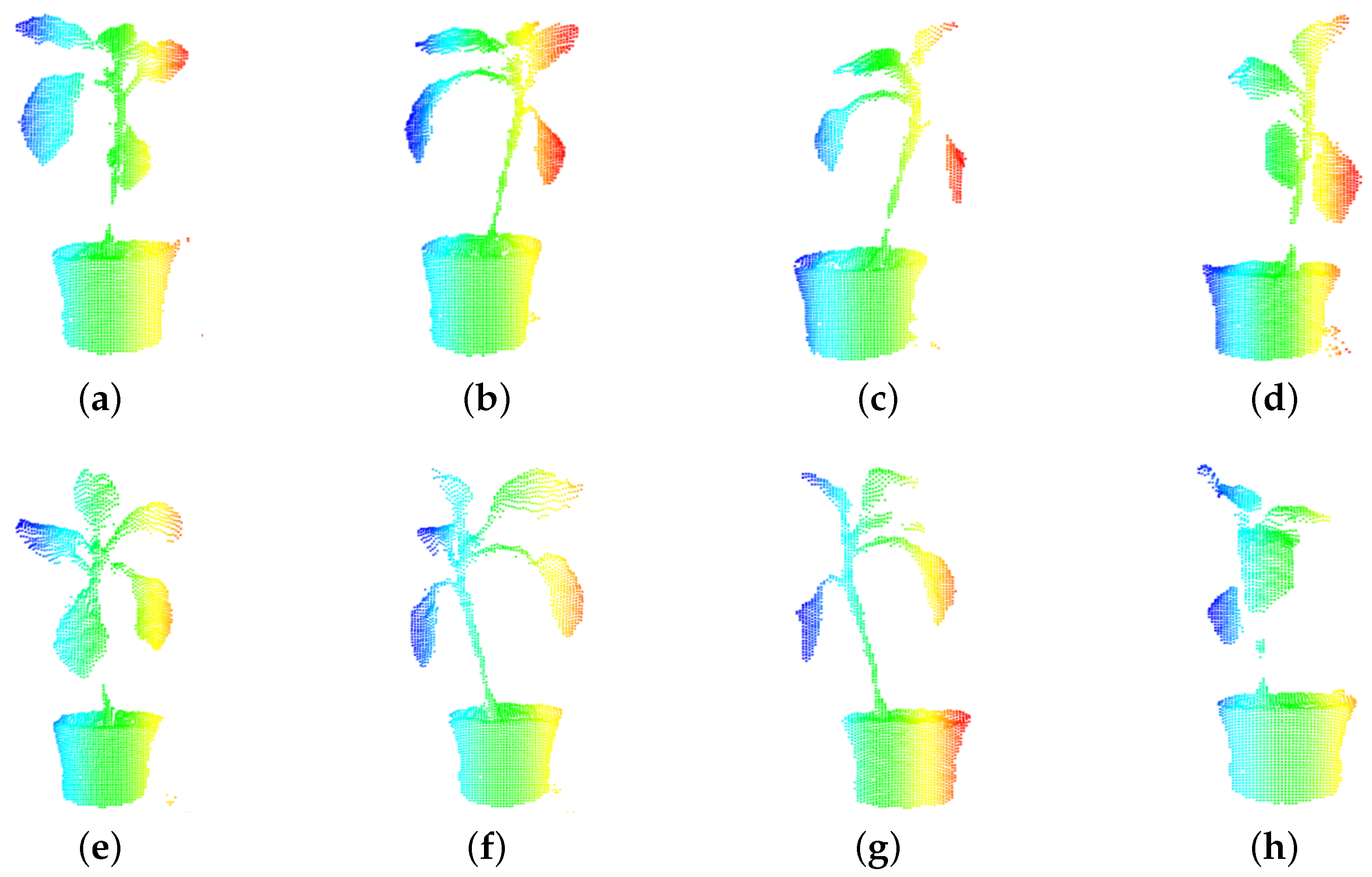 Plants 09 00571 g003