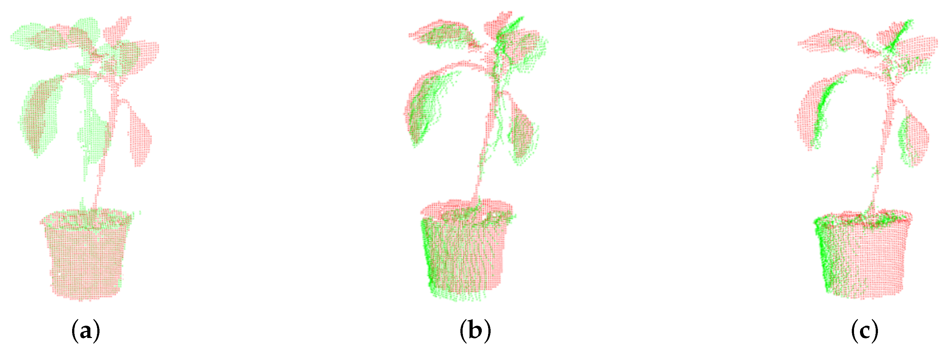 Plants 09 00571 g004