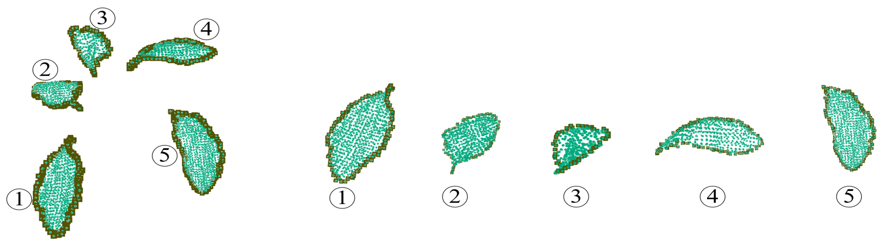 Plants 09 00571 g009