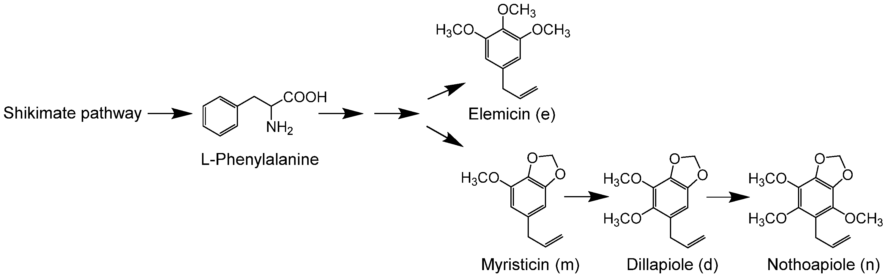 Plants 09 00577 g001