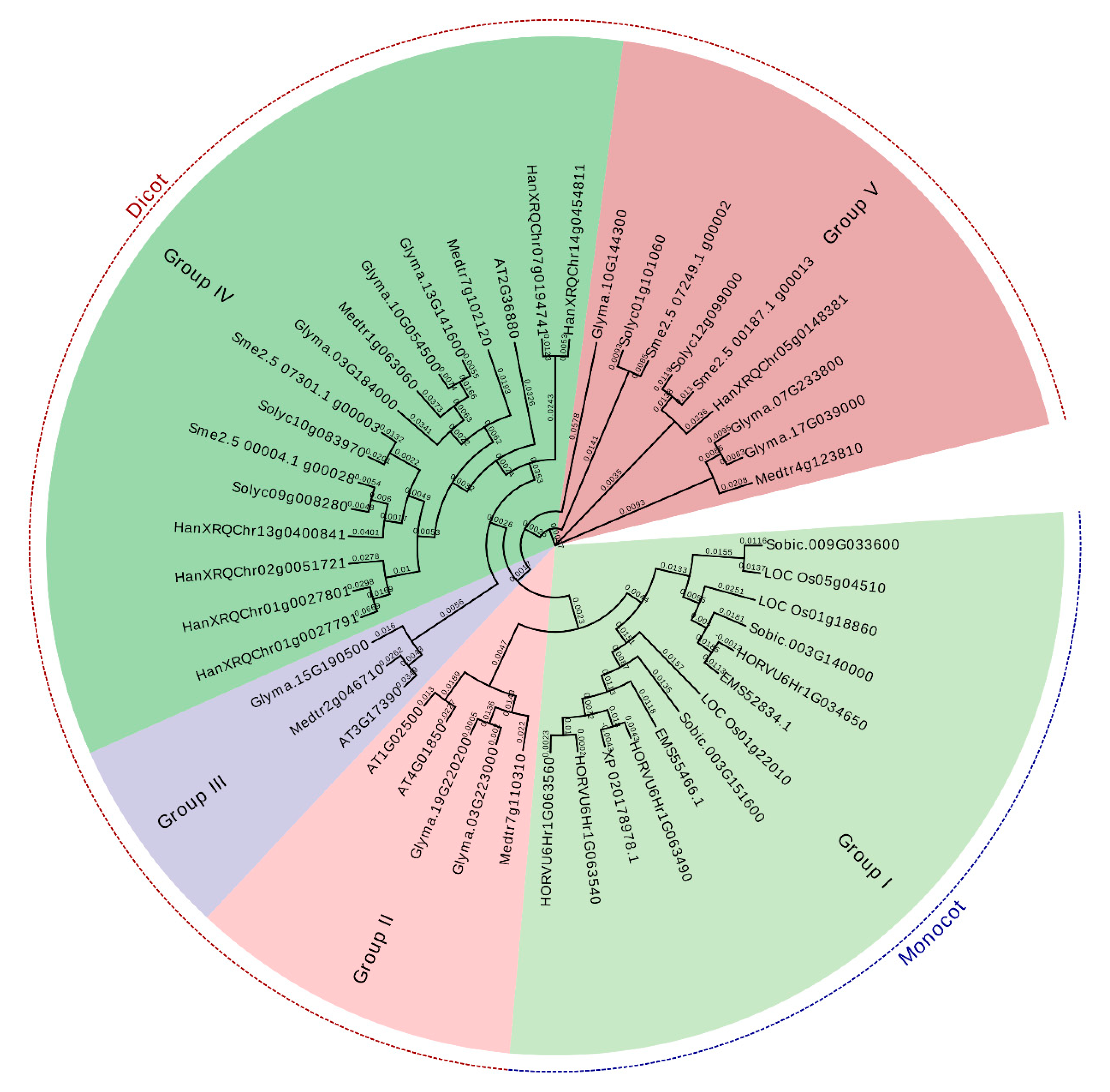 Plants 09 00586 g002