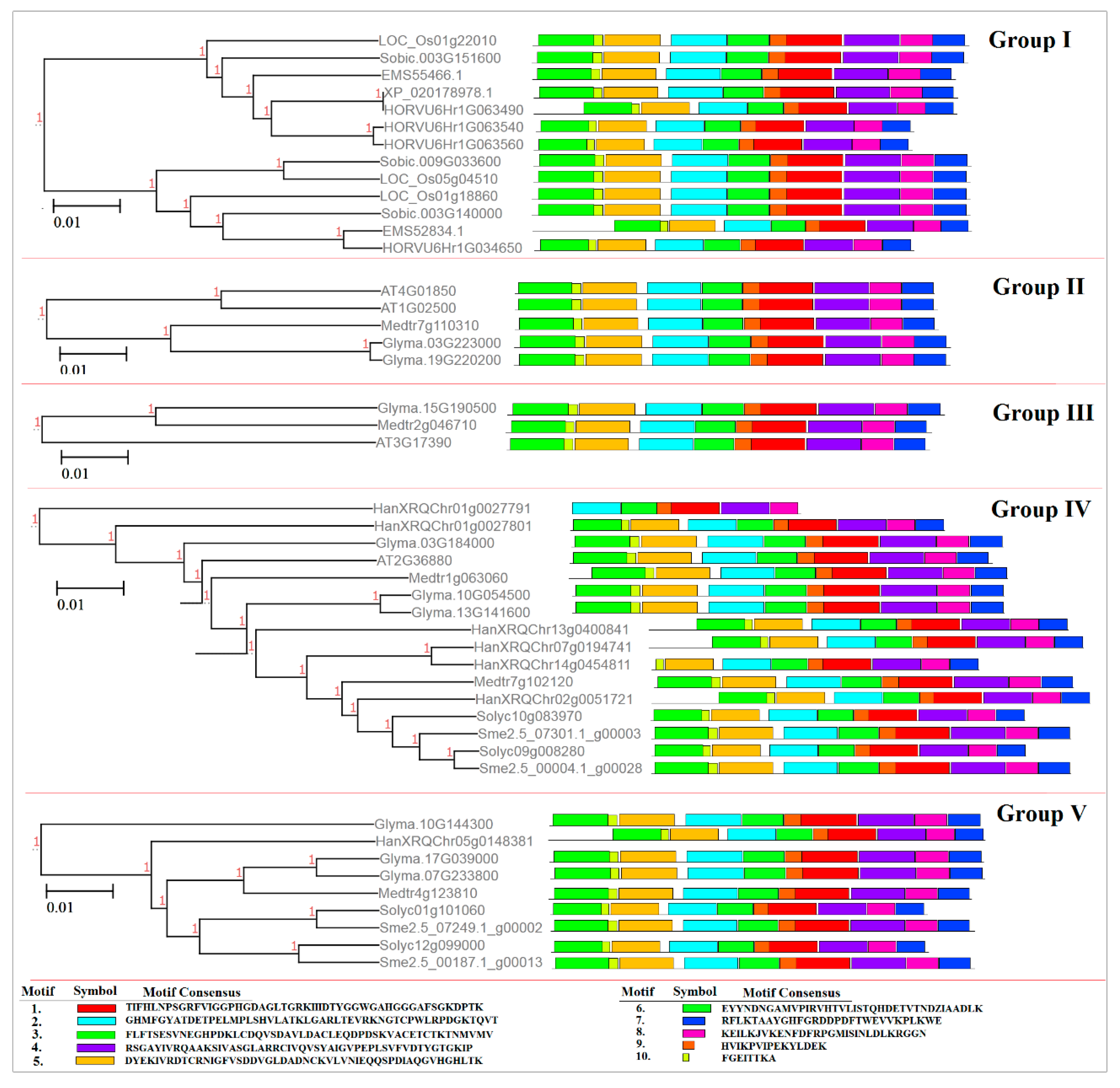 Plants 09 00586 g003