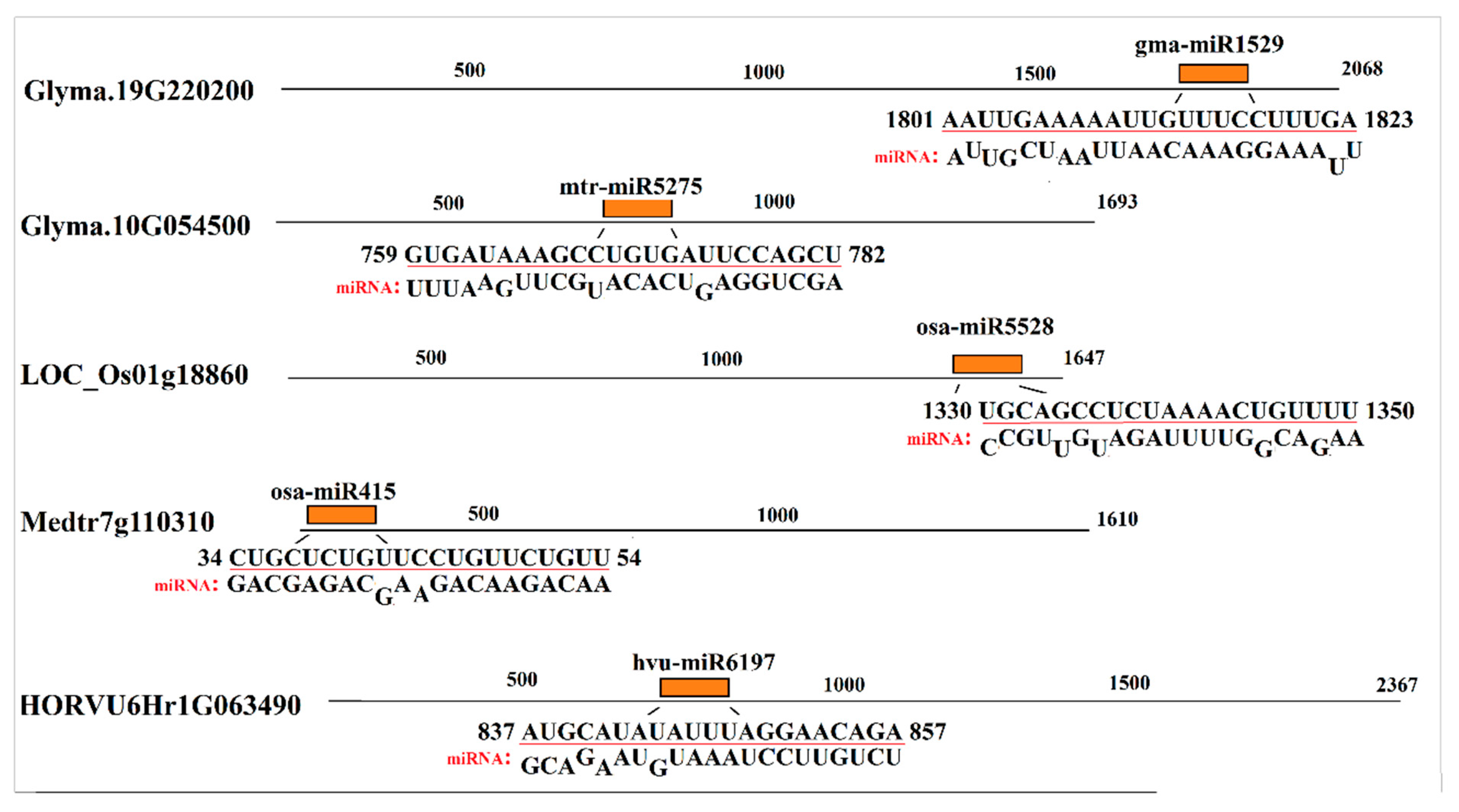 Plants 09 00586 g006