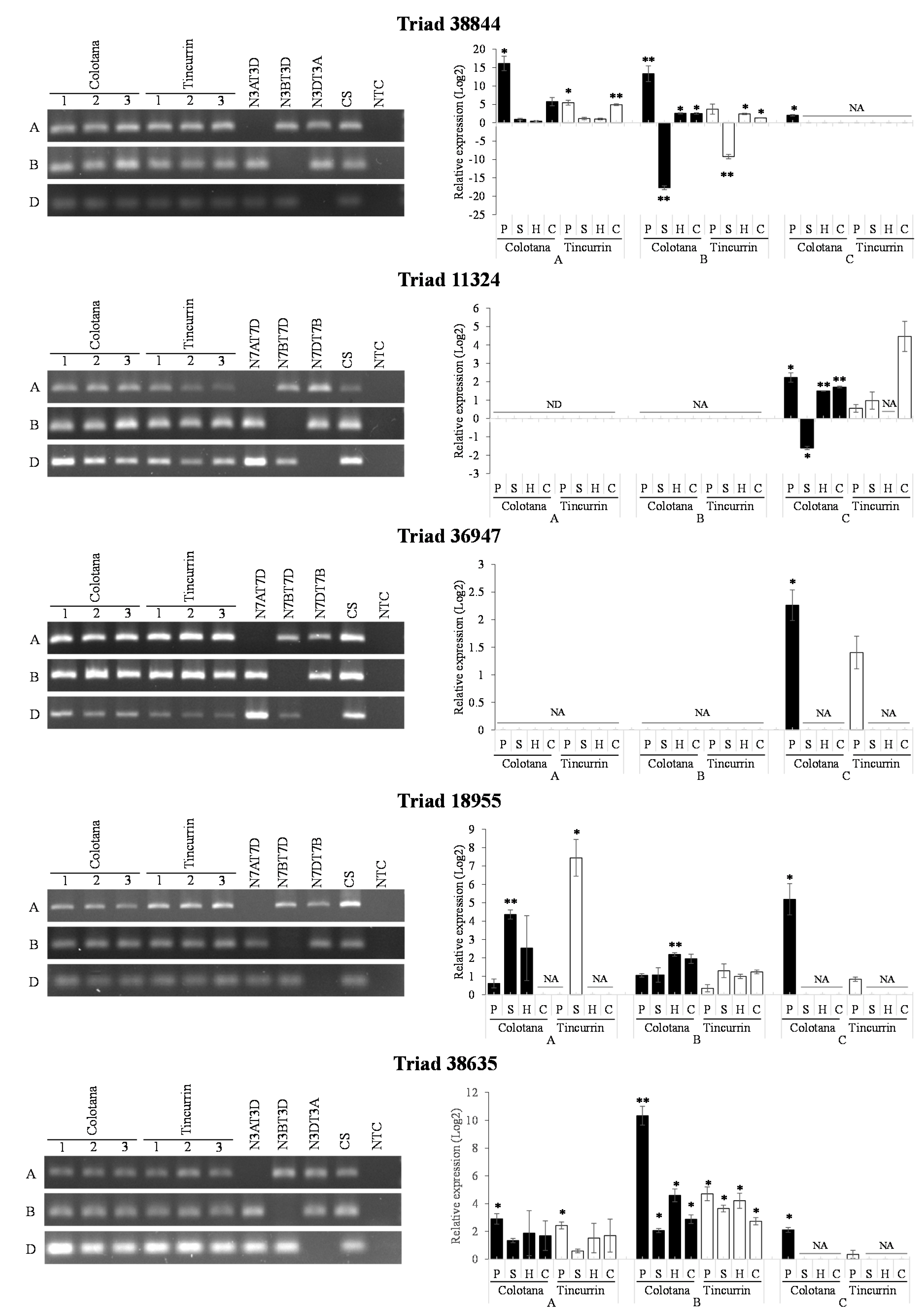 Plants 09 00596 g005