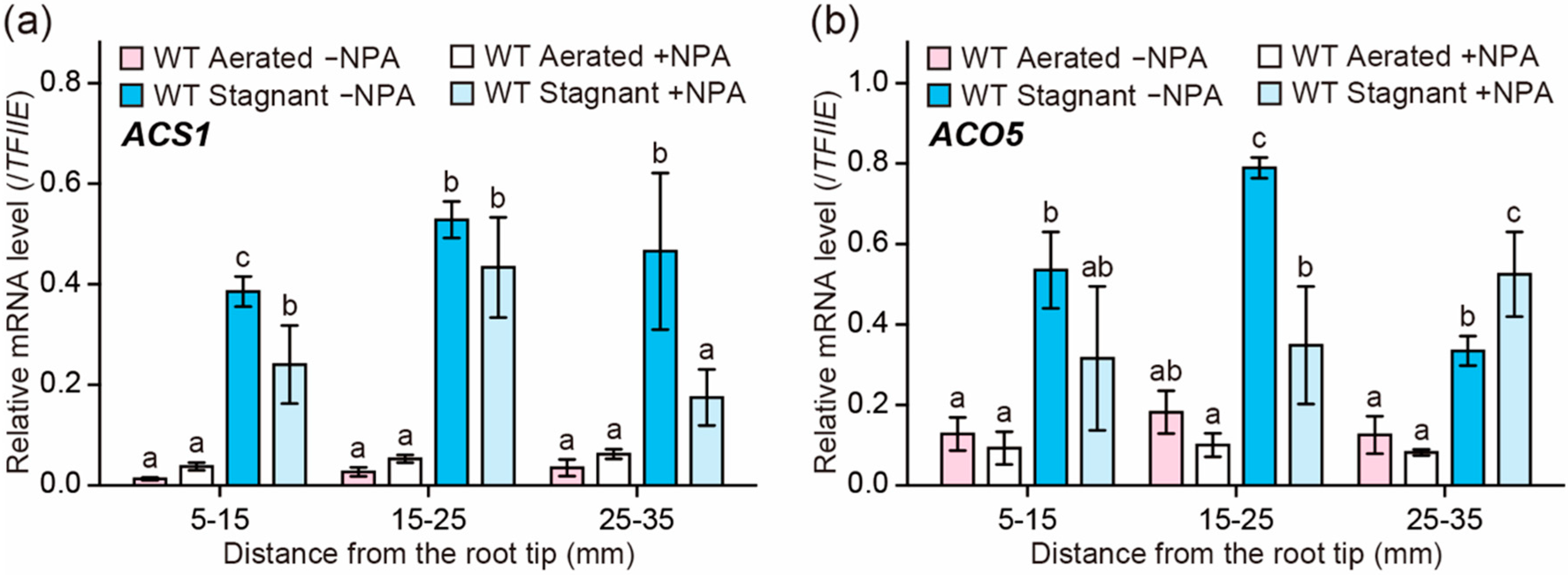 Plants 09 00610 g005 Plants 09 00610 g005