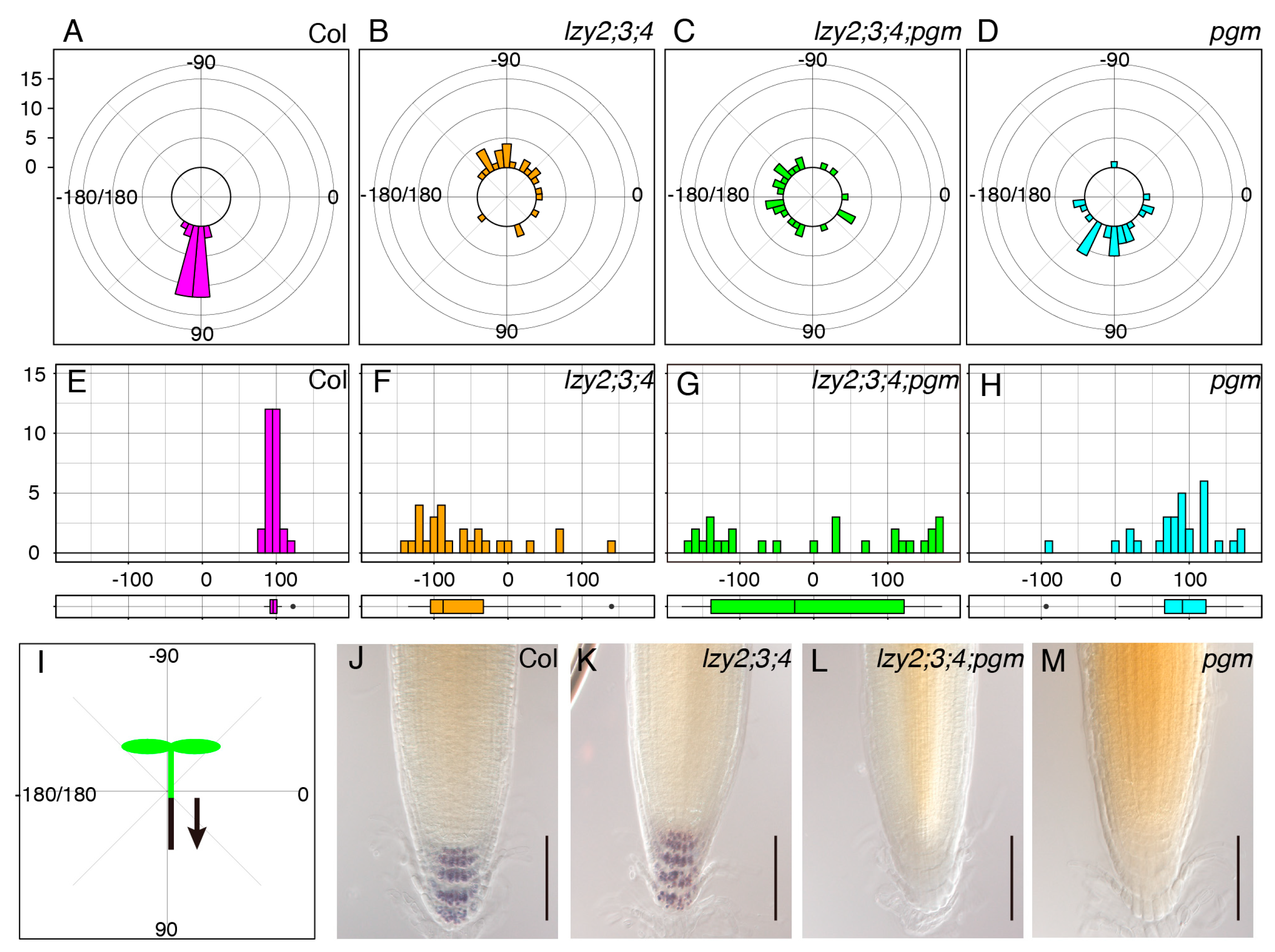 Plants 09 00615 g001