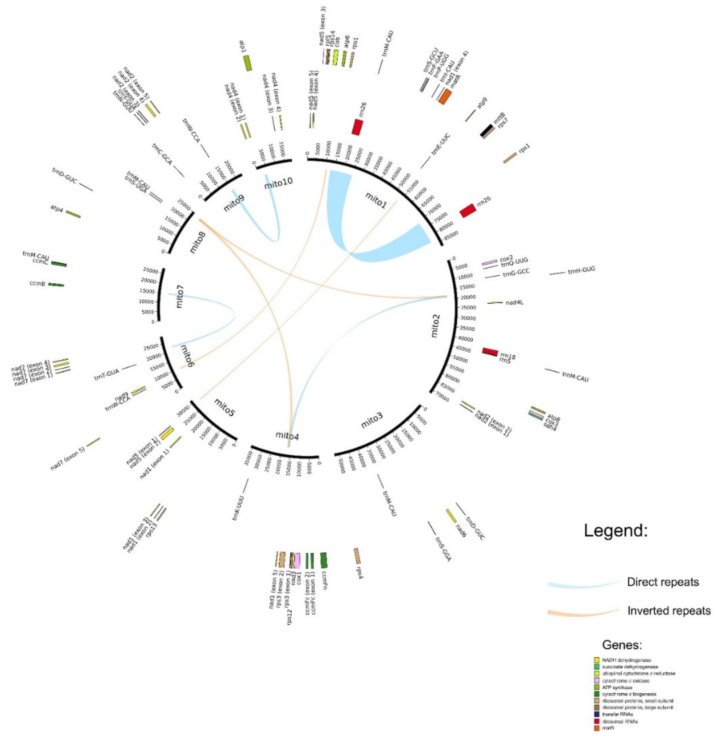 Plants 09 00618 g001