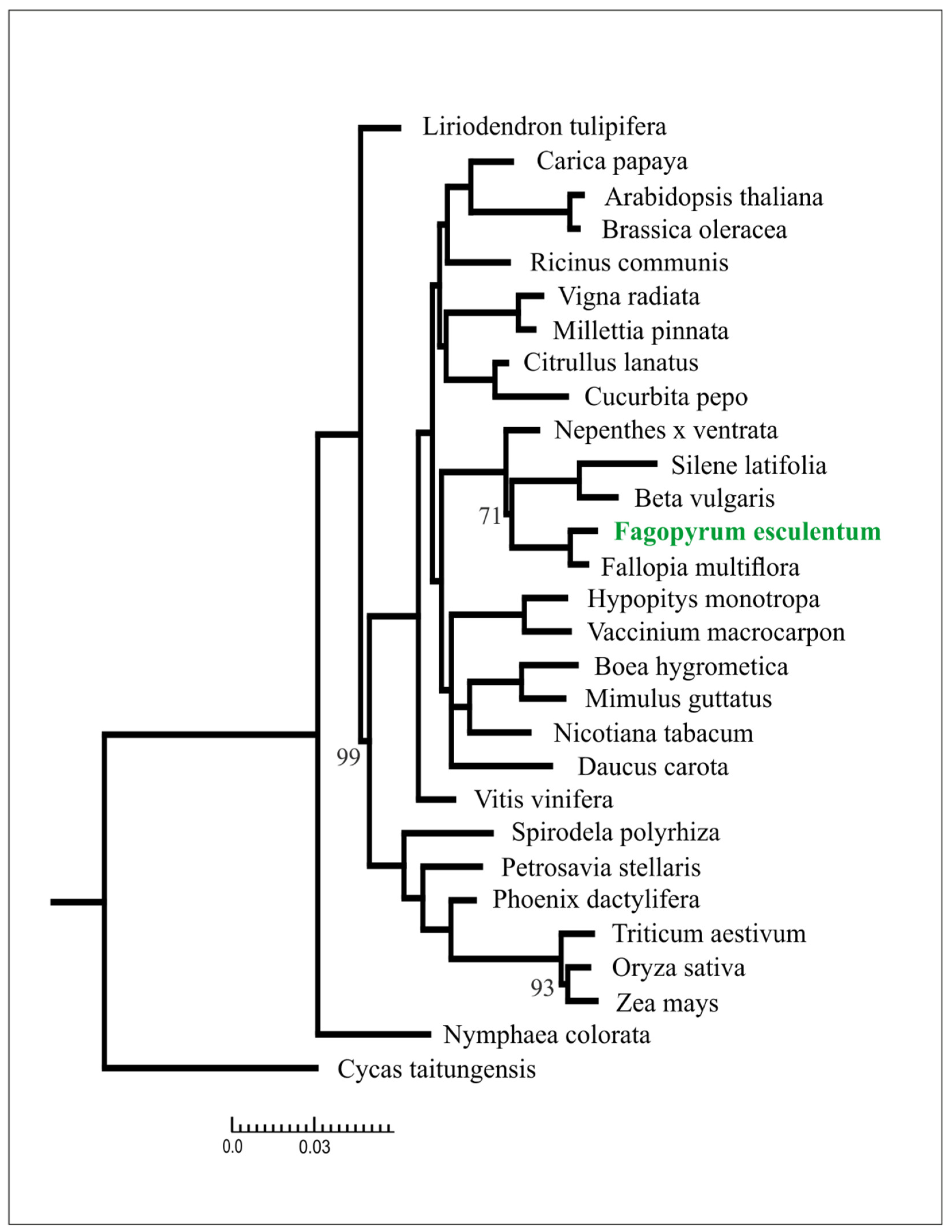 Plants 09 00618 g002