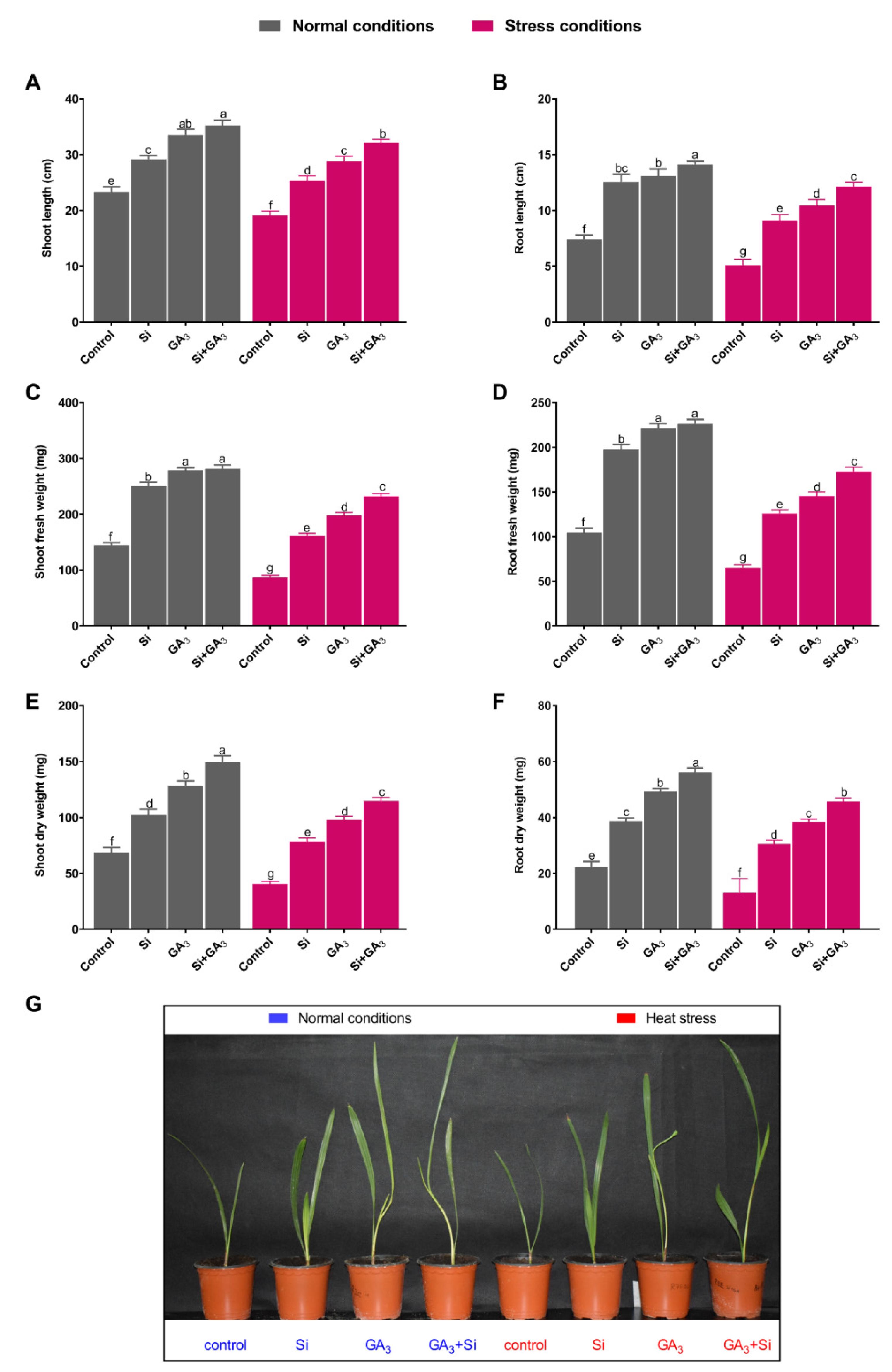 Plants 09 00620 g001