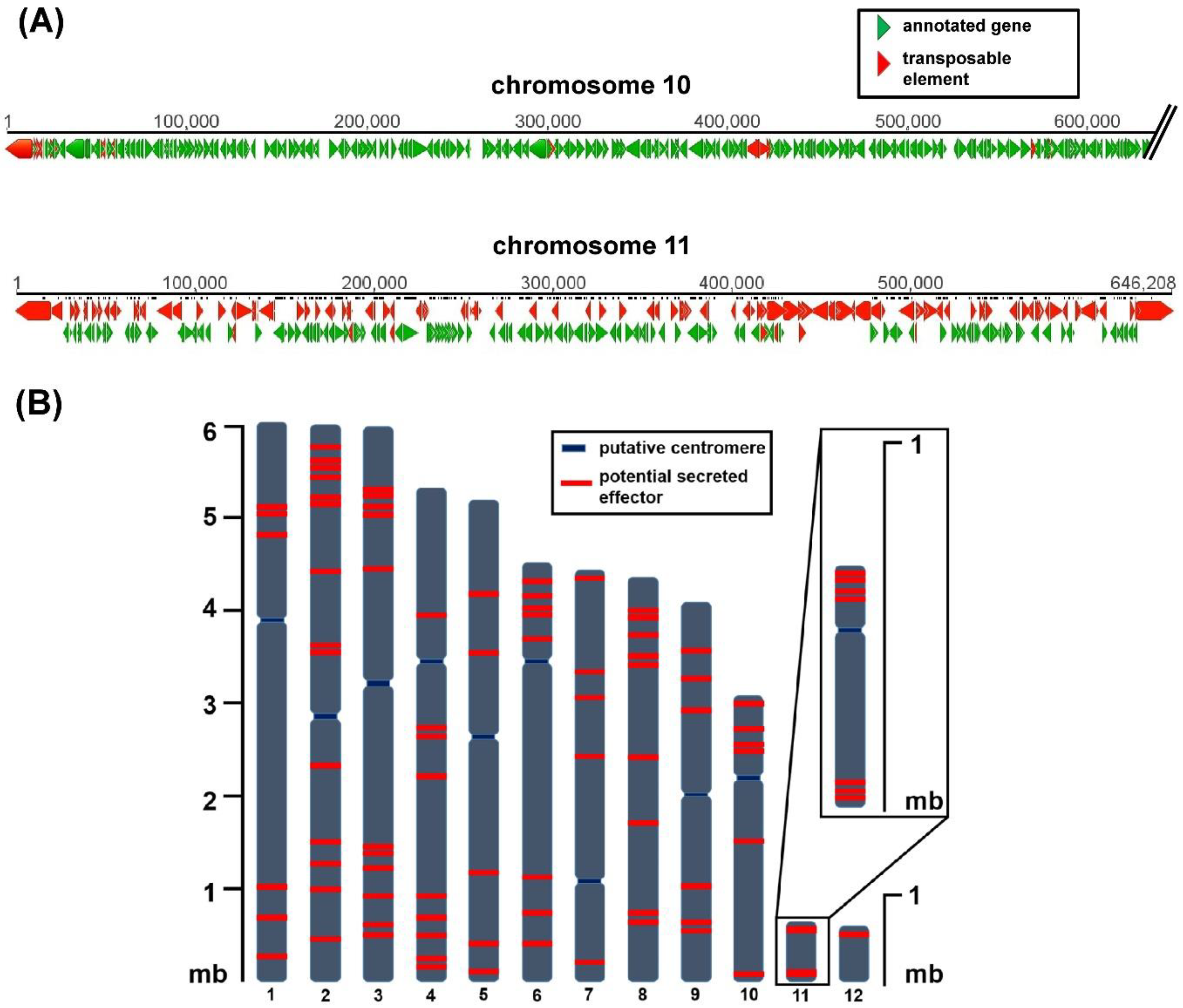 Plants 09 00641 g001 Plants 09 00641 g001
