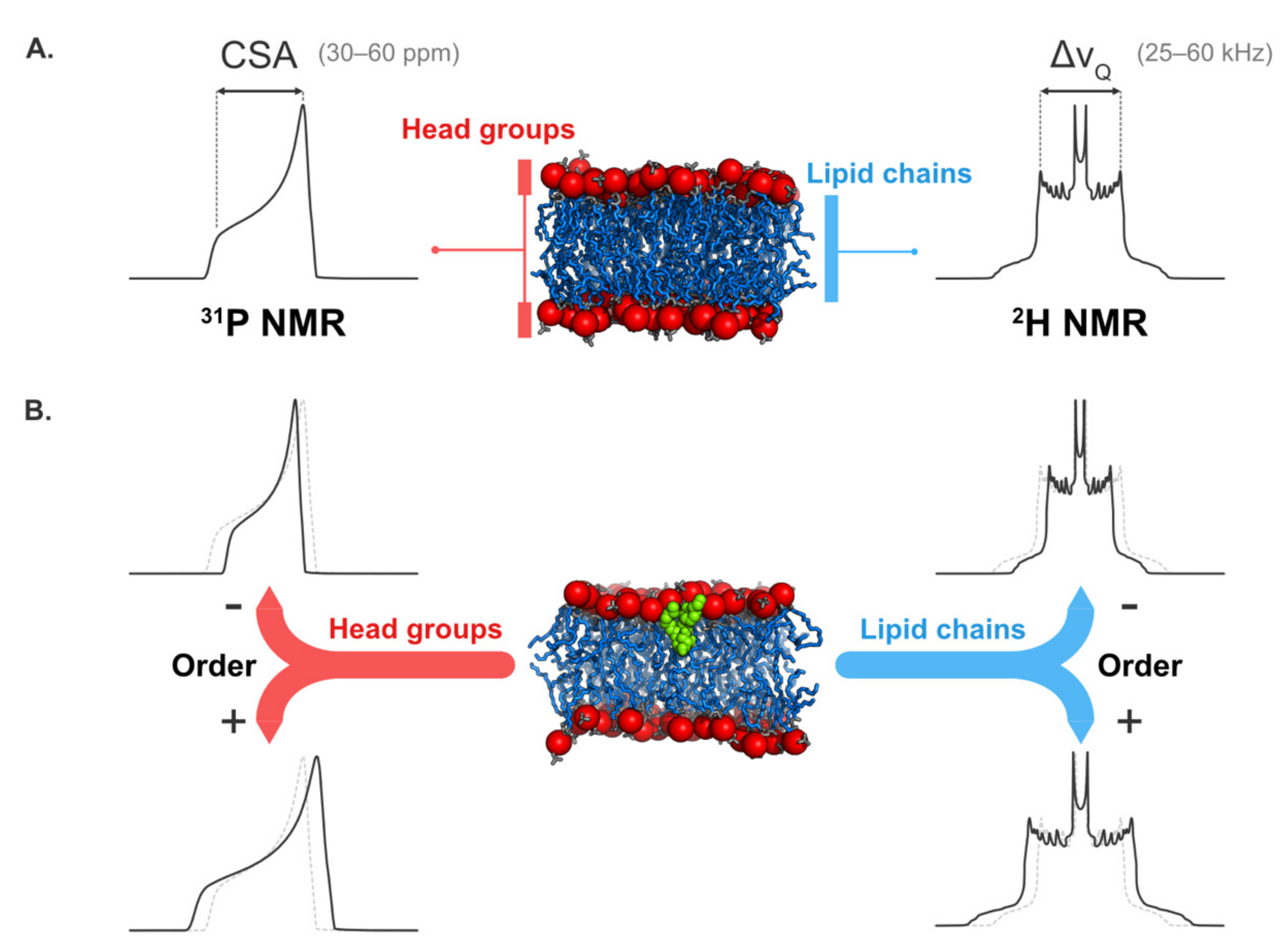 Plants 09 00648 g002
