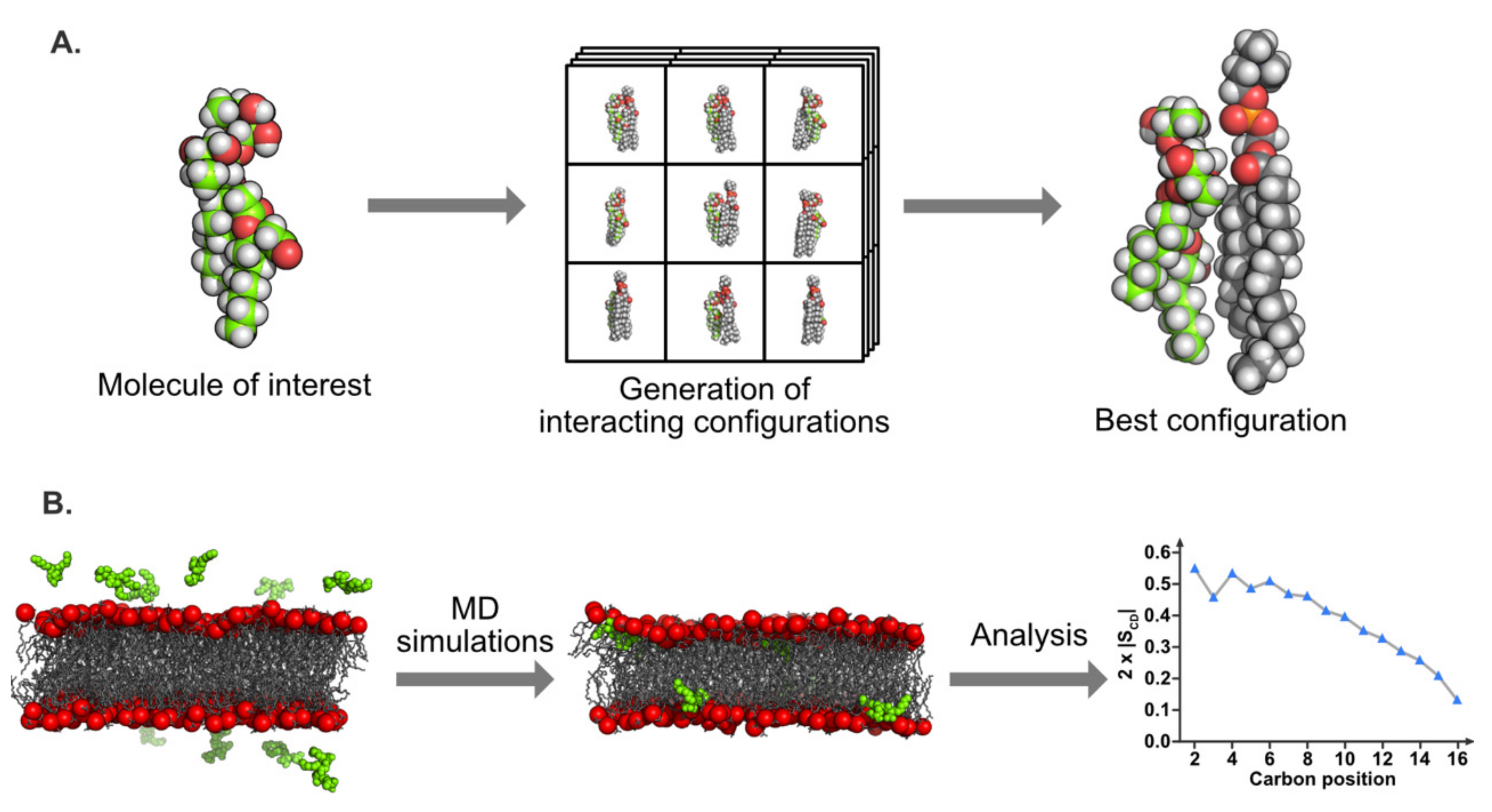 Plants 09 00648 g005