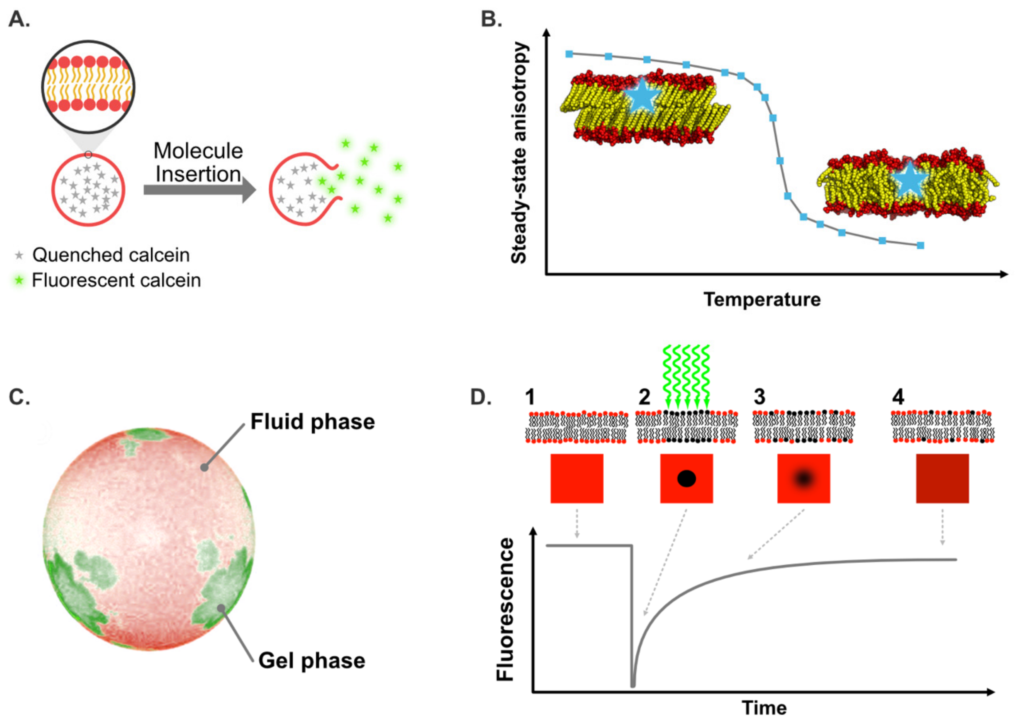 Plants 09 00648 g006