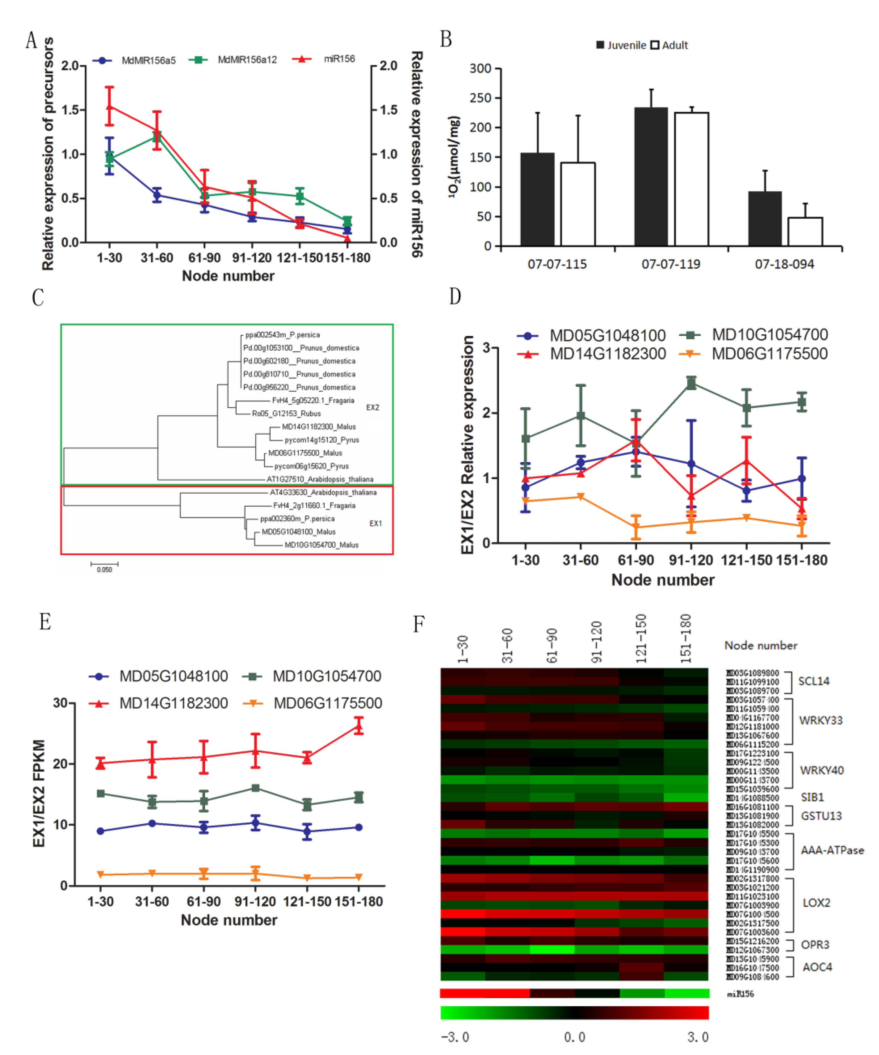 Plants 09 00653 g004
