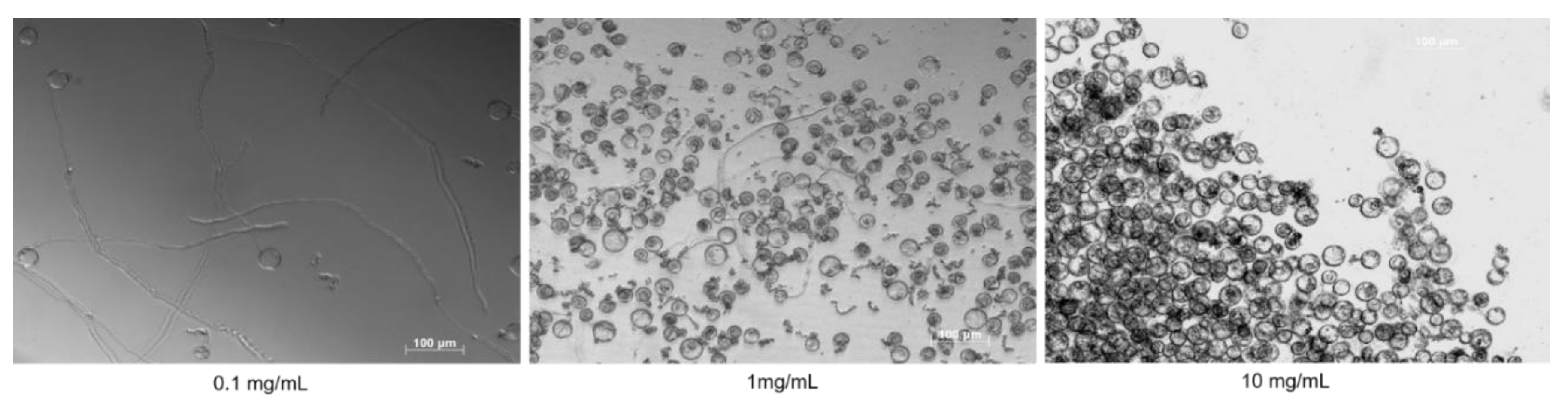 Plants 09 00665 g002 Plants 09 00665 g002